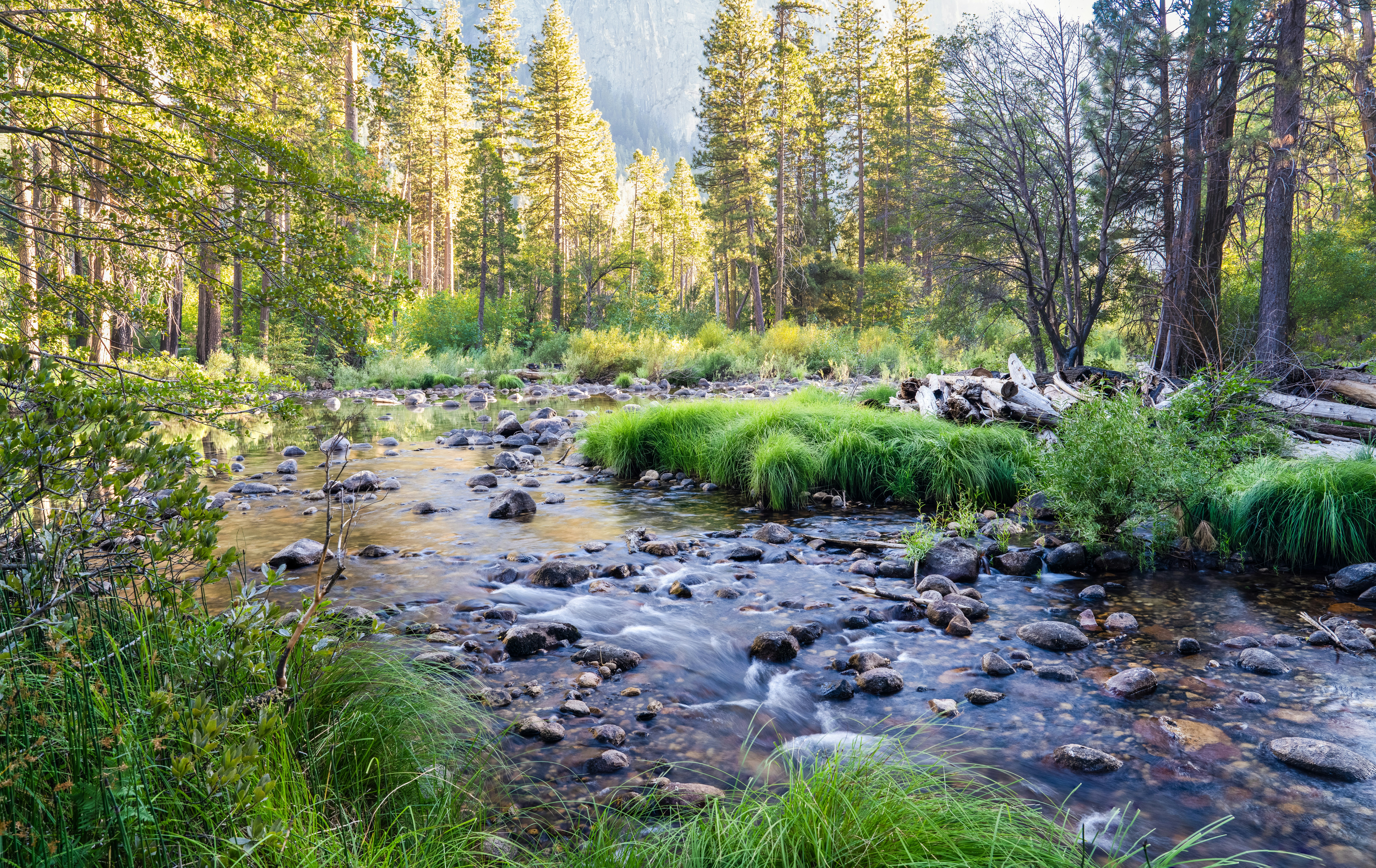 Photo by happy_pixel