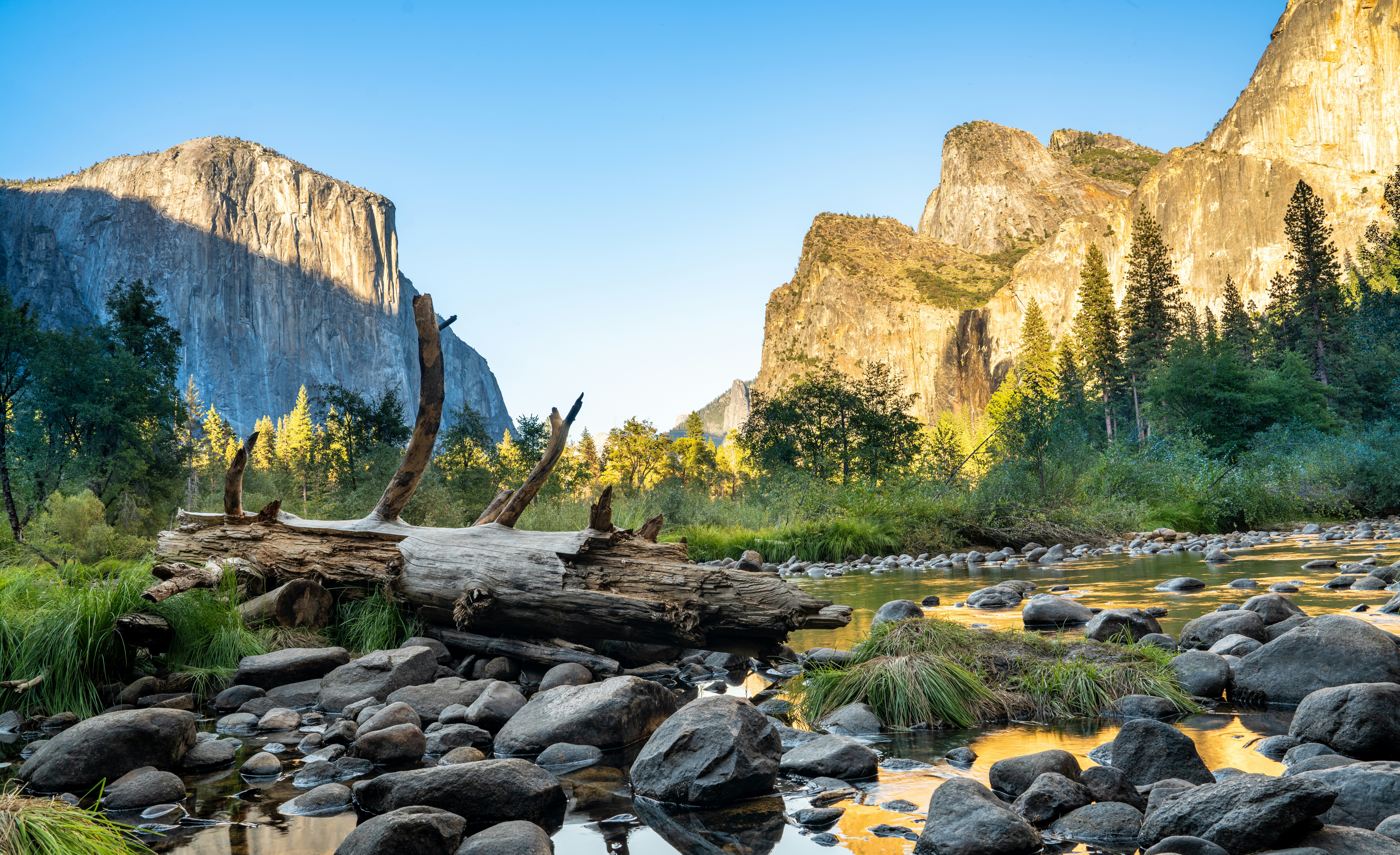 Photo by happy_pixel