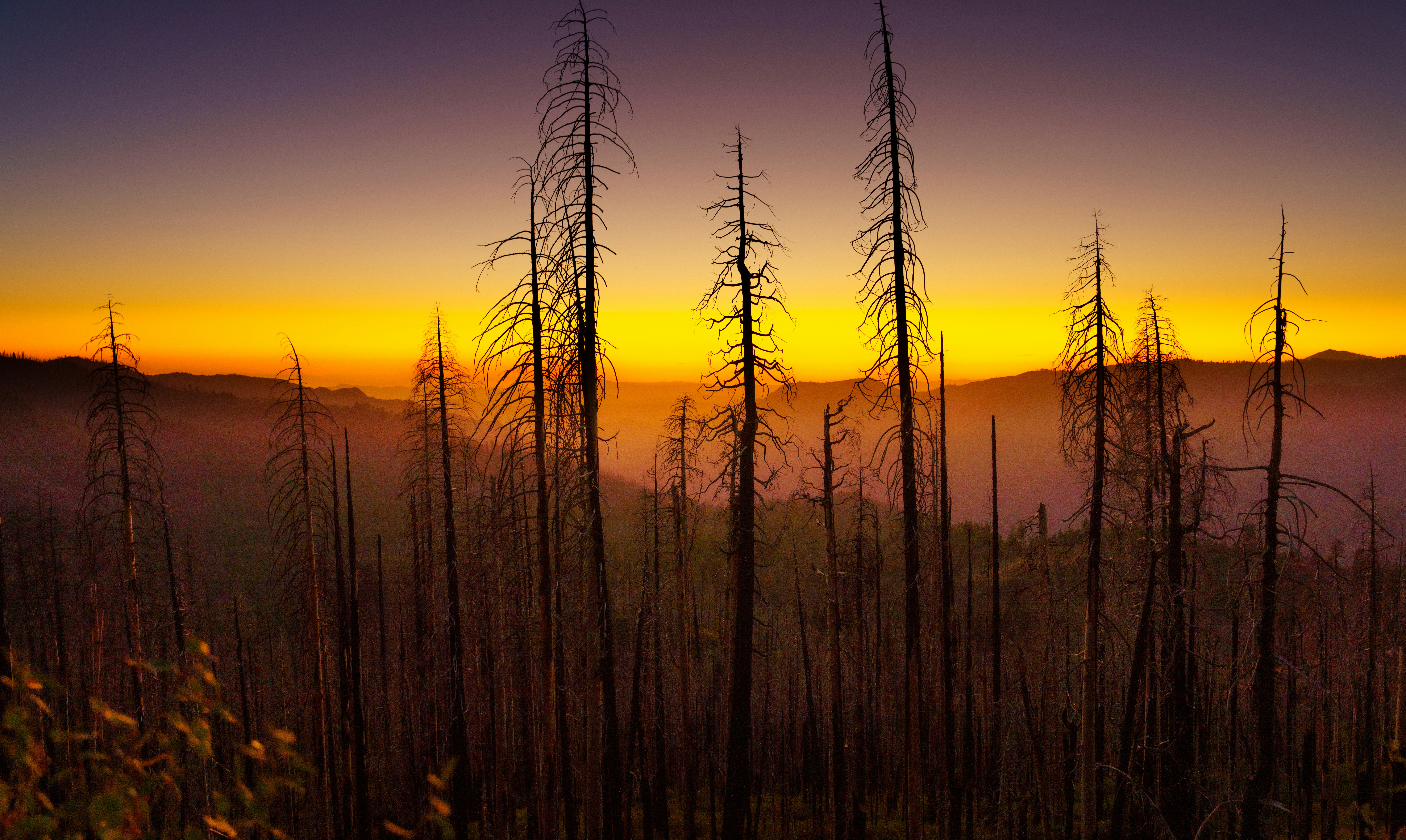 Photo by happy_pixel