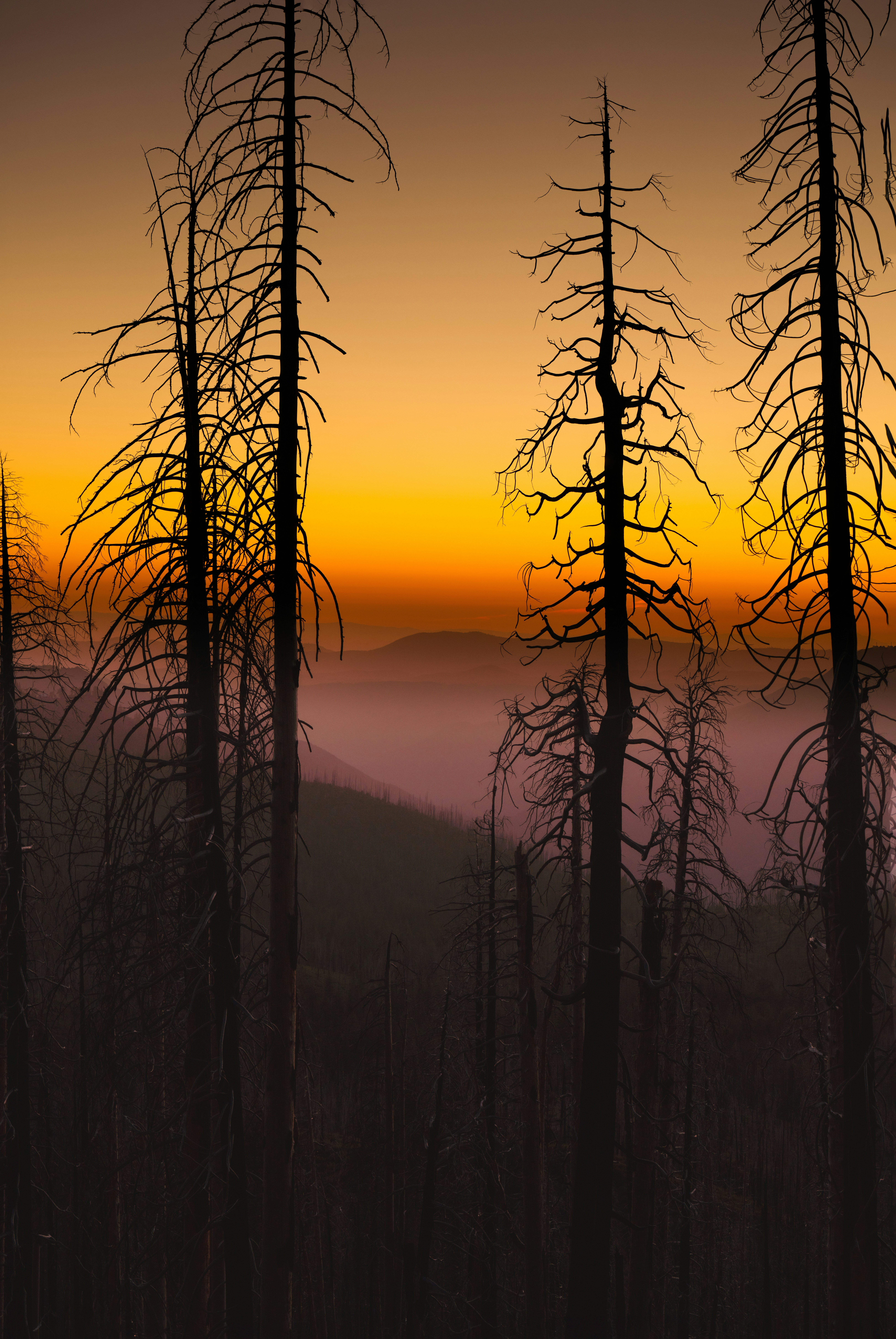 Photo by happy_pixel