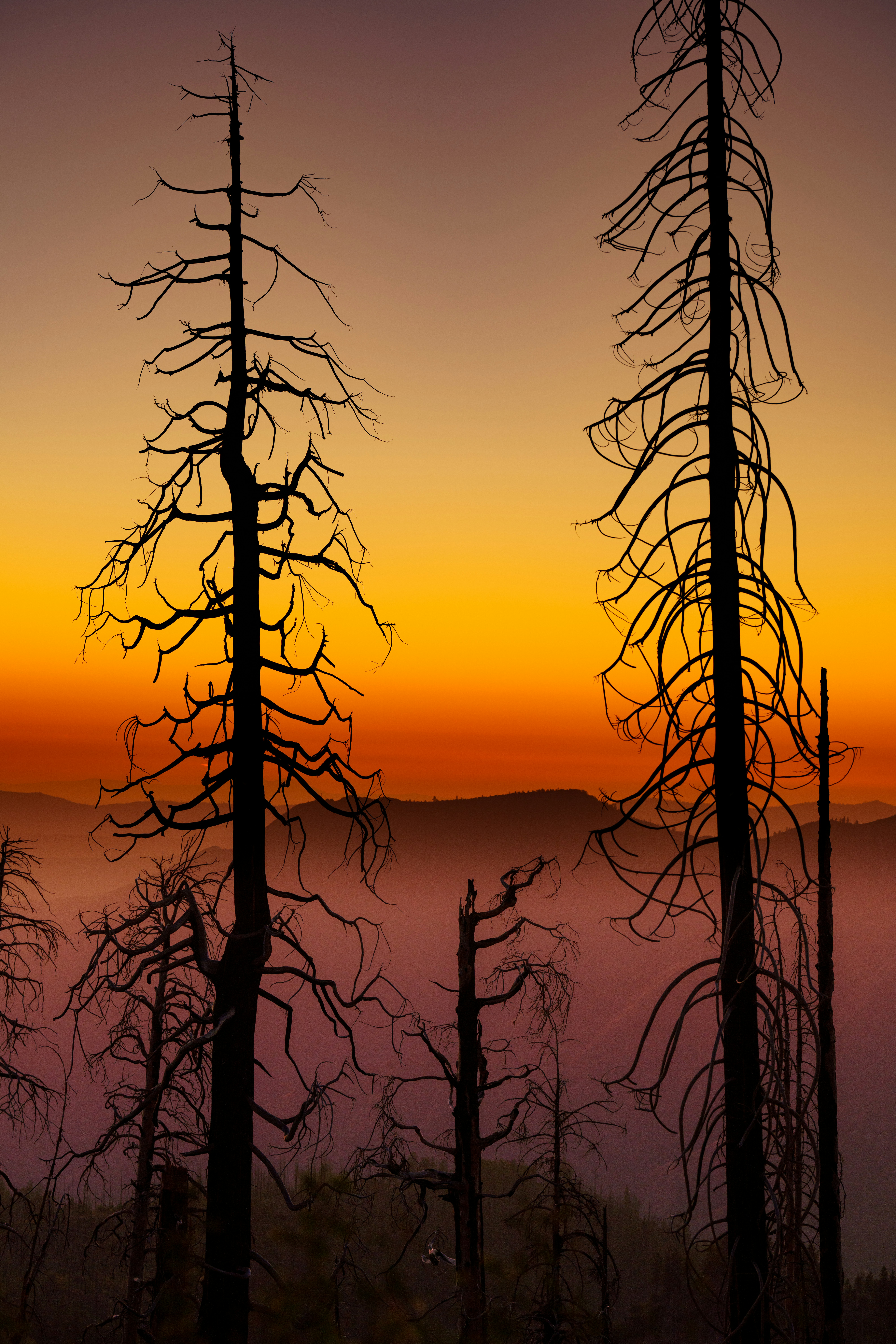 Photo by happy_pixel