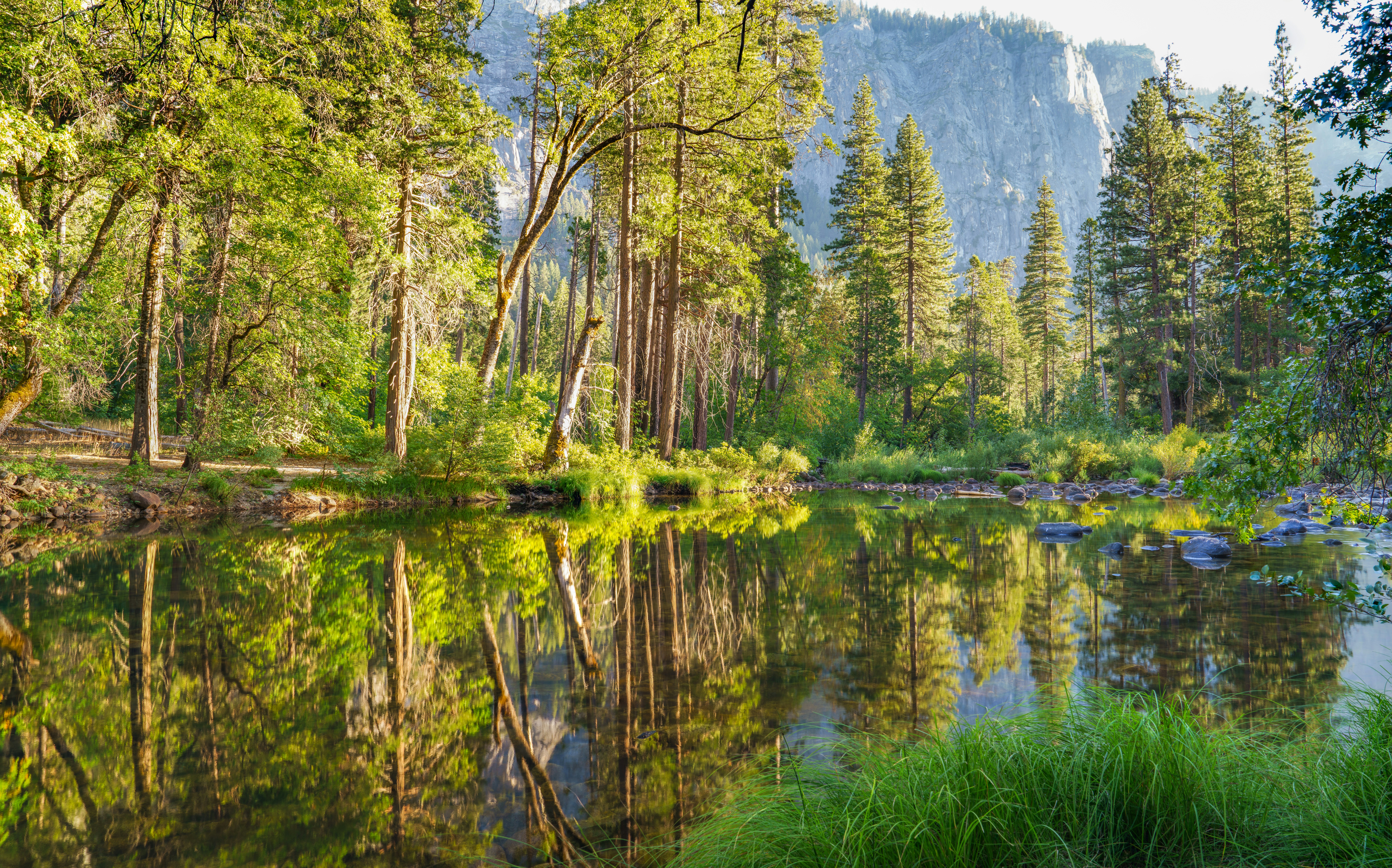 Photo by happy_pixel