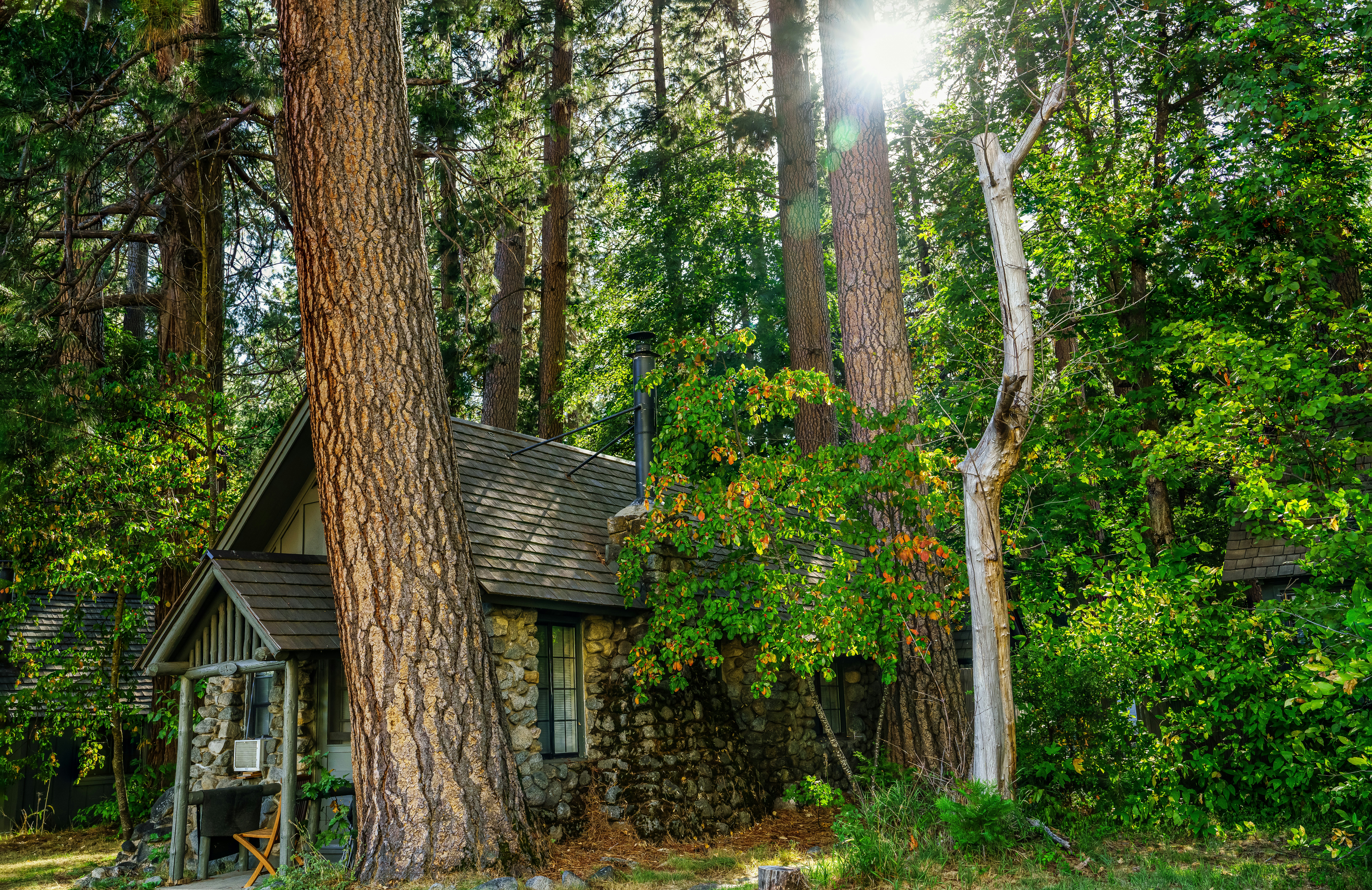 Photo by happy_pixel