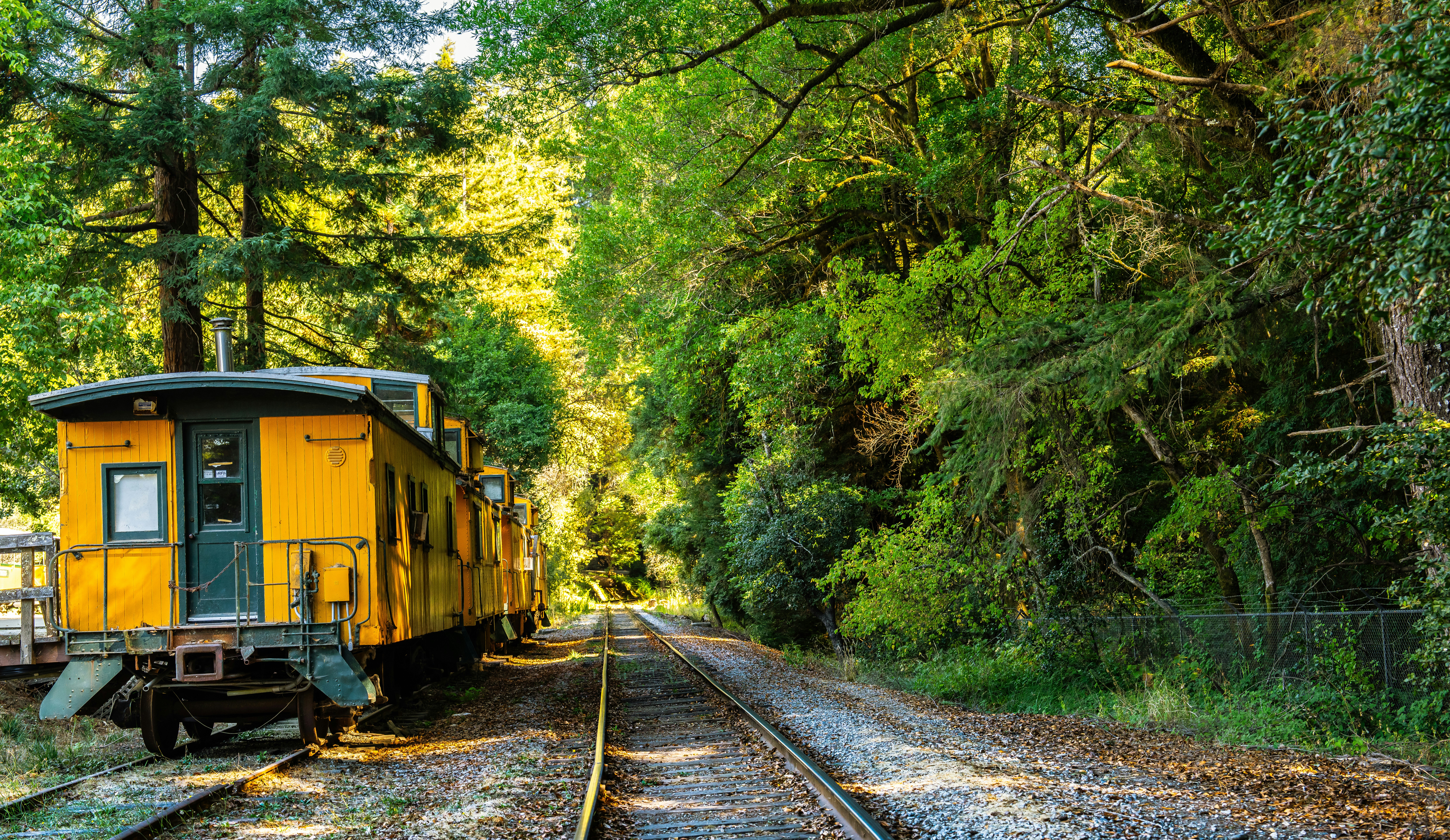 Photo by happy_pixel