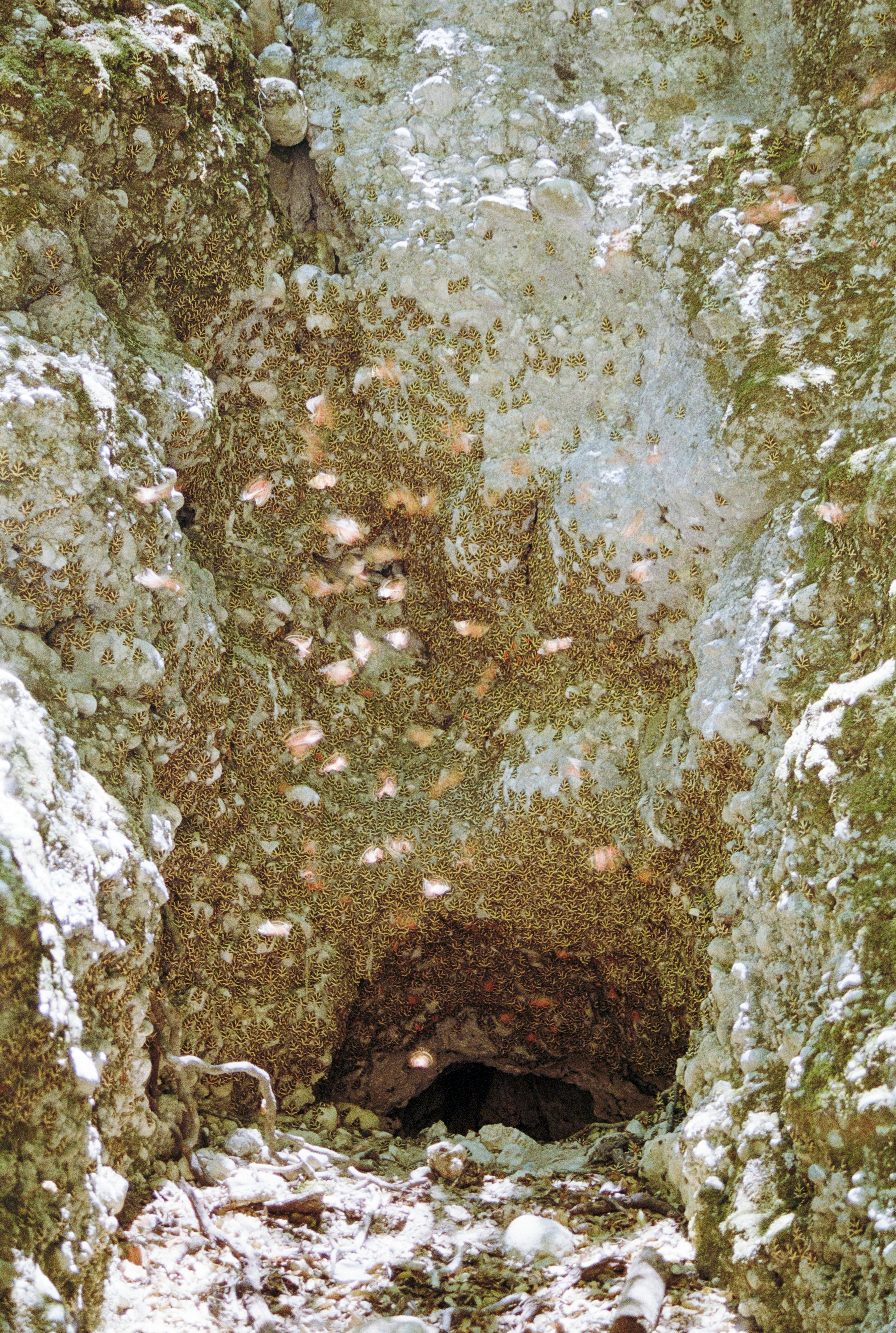 Photo by artistseyes