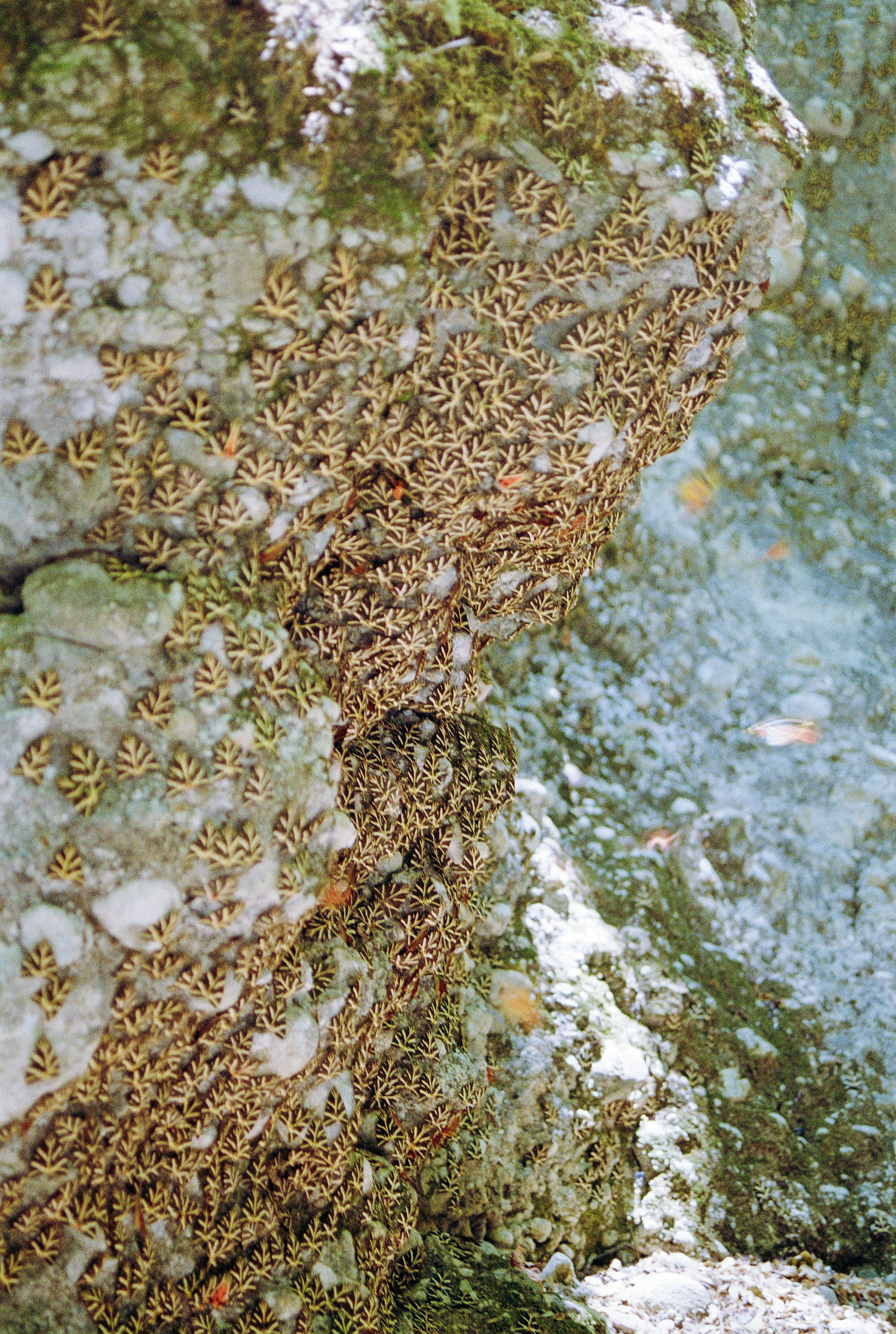 Photo by artistseyes