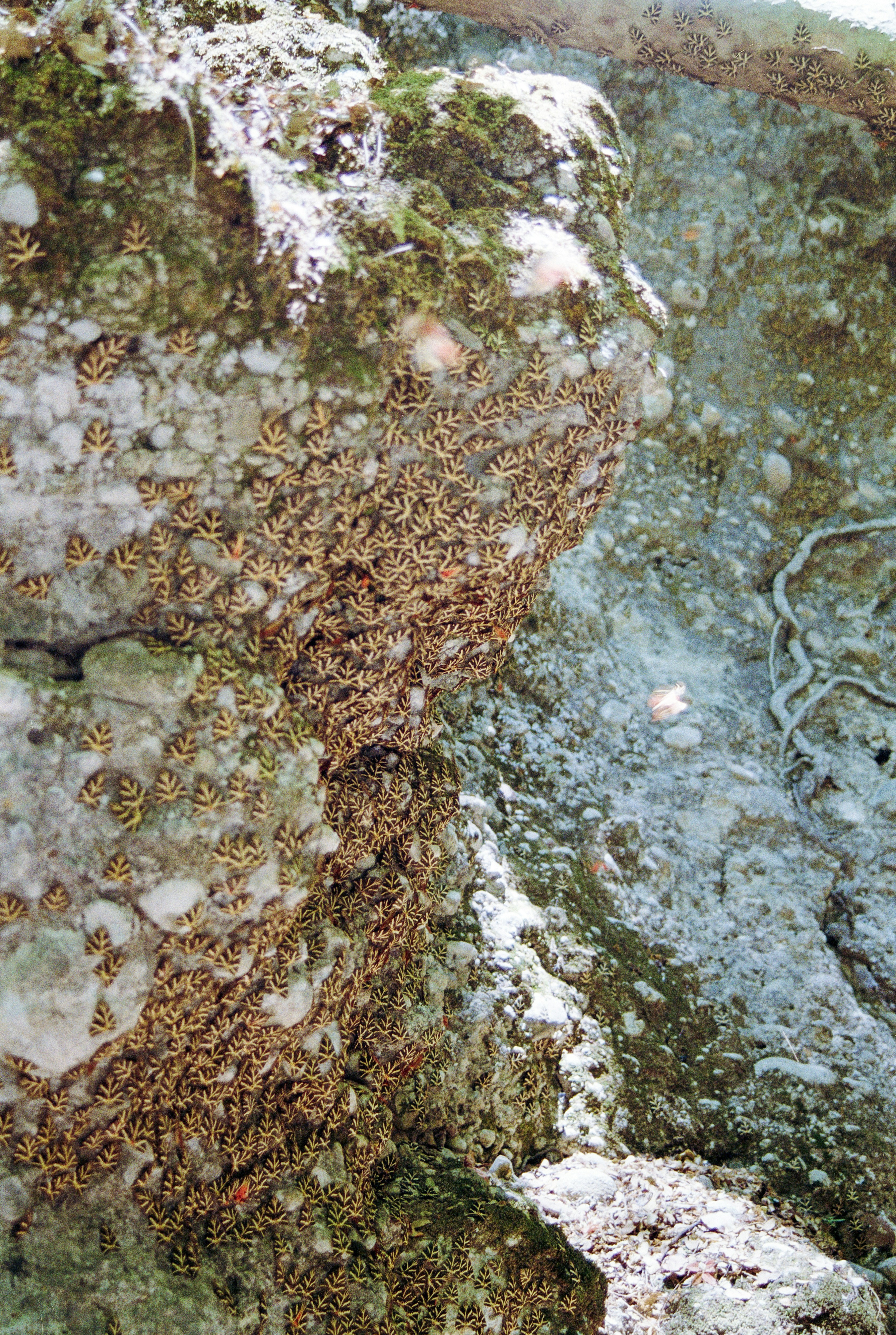 Photo by artistseyes