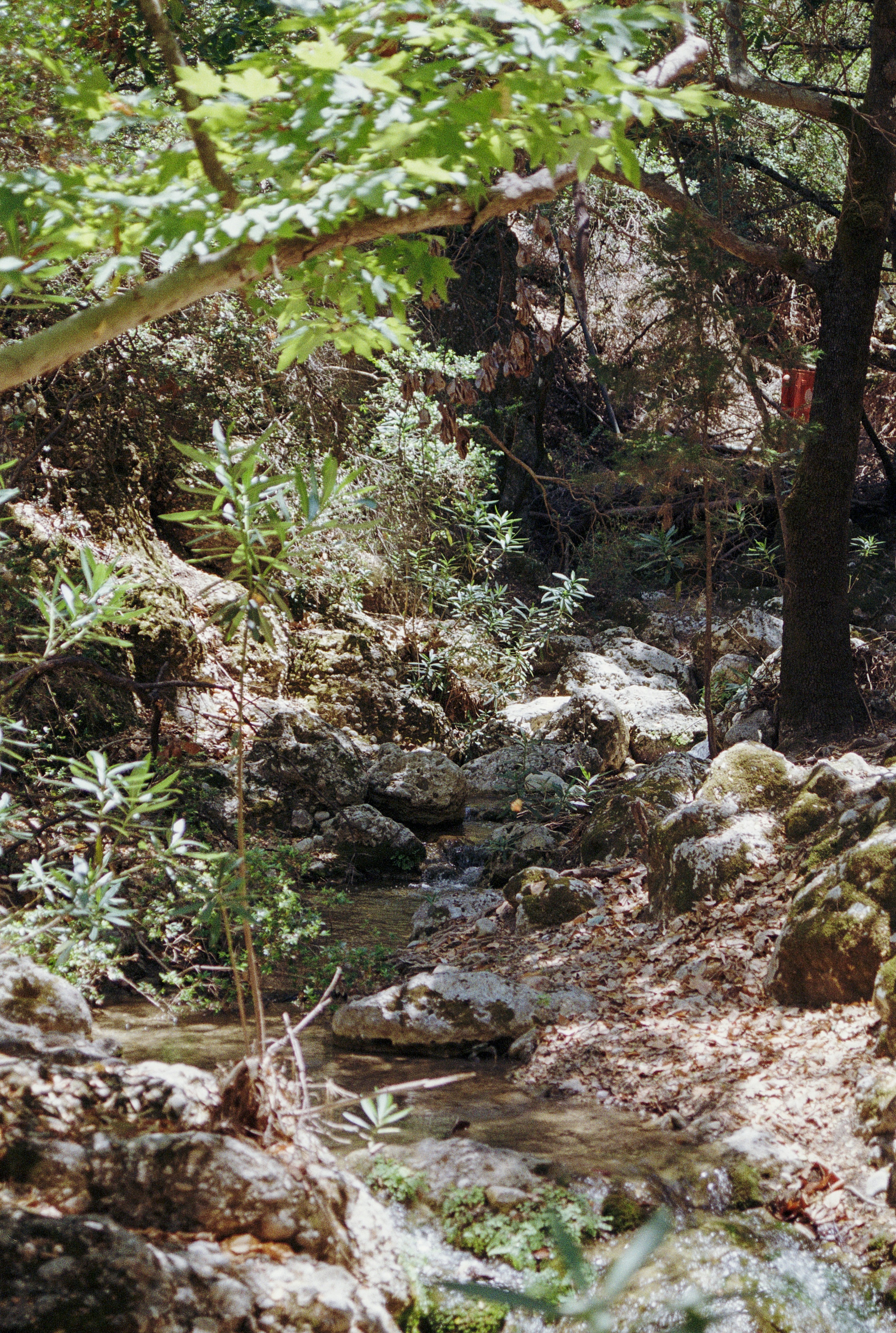 Photo by artistseyes