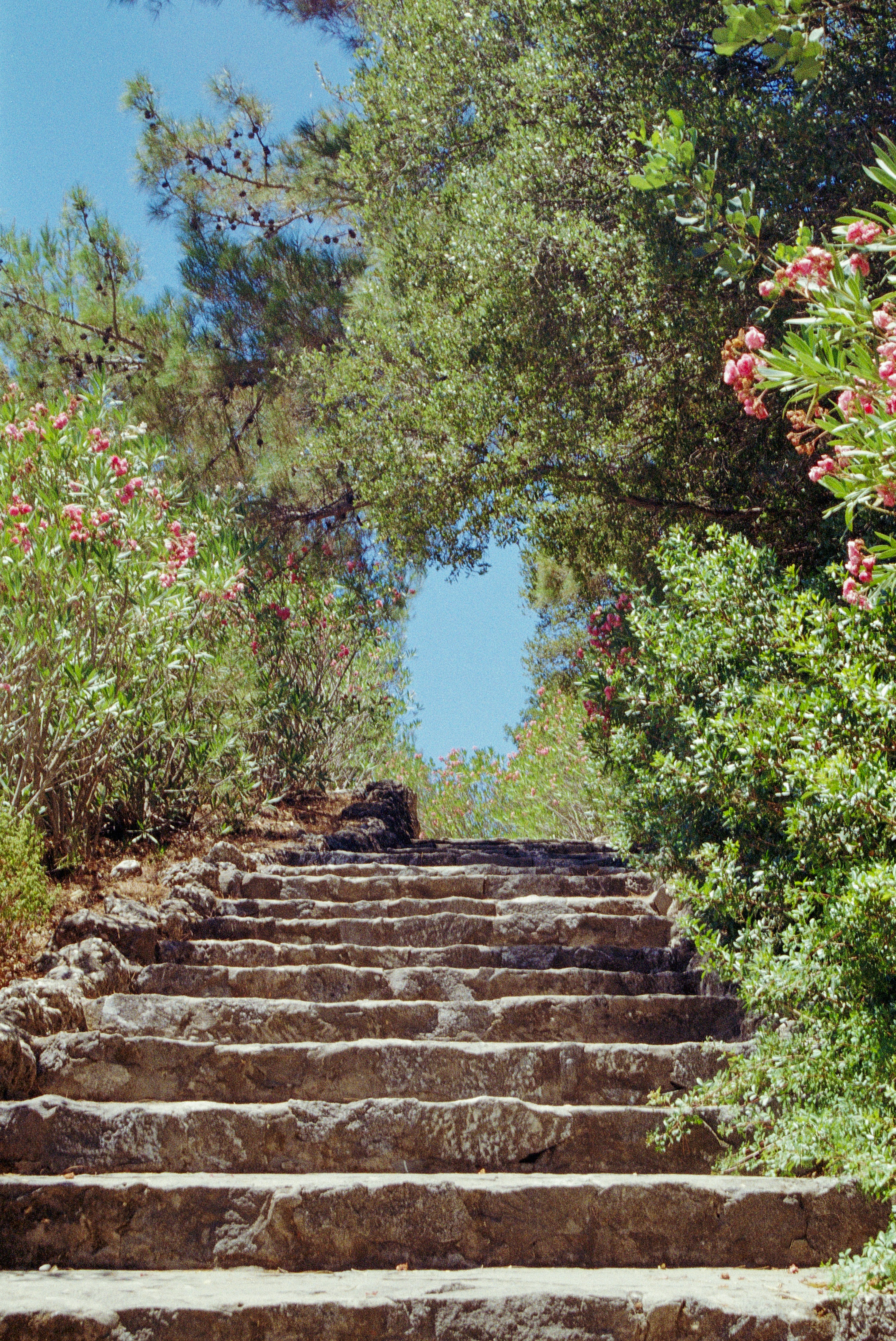 Photo by artistseyes