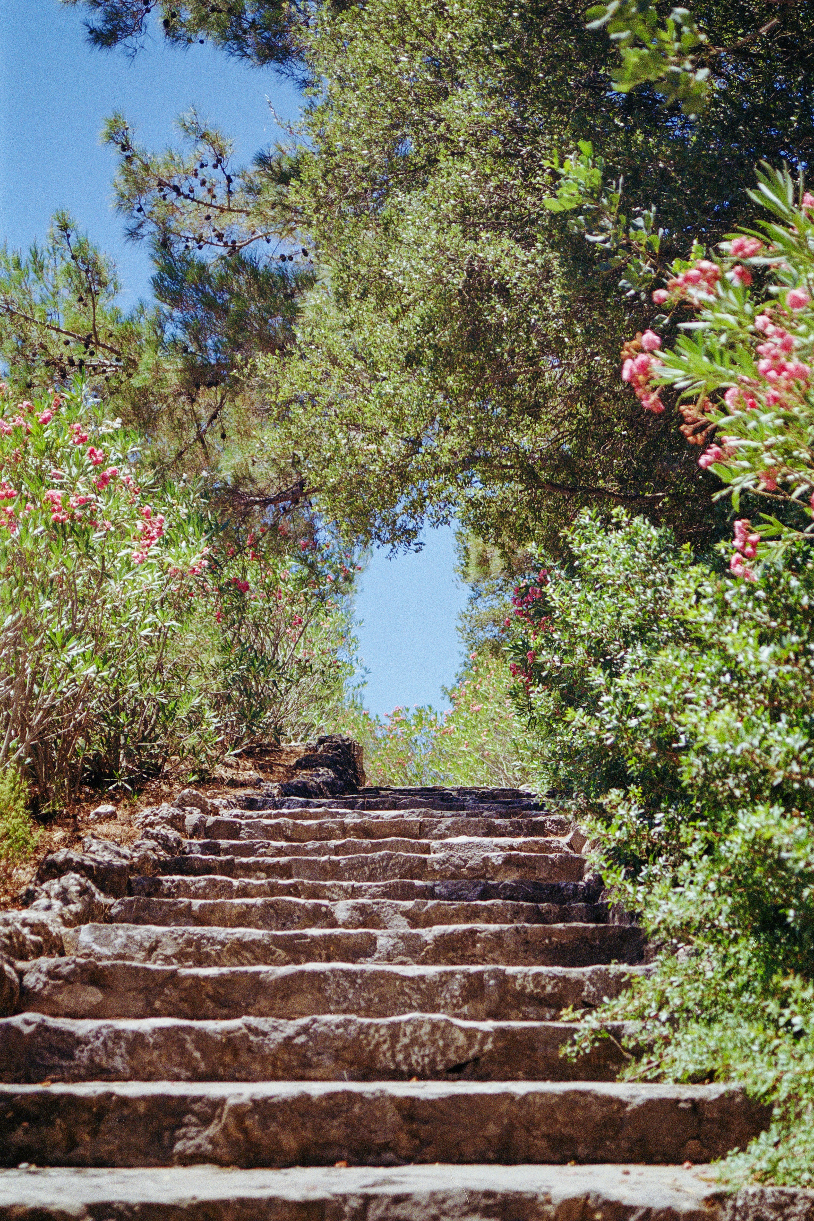 Photo by artistseyes