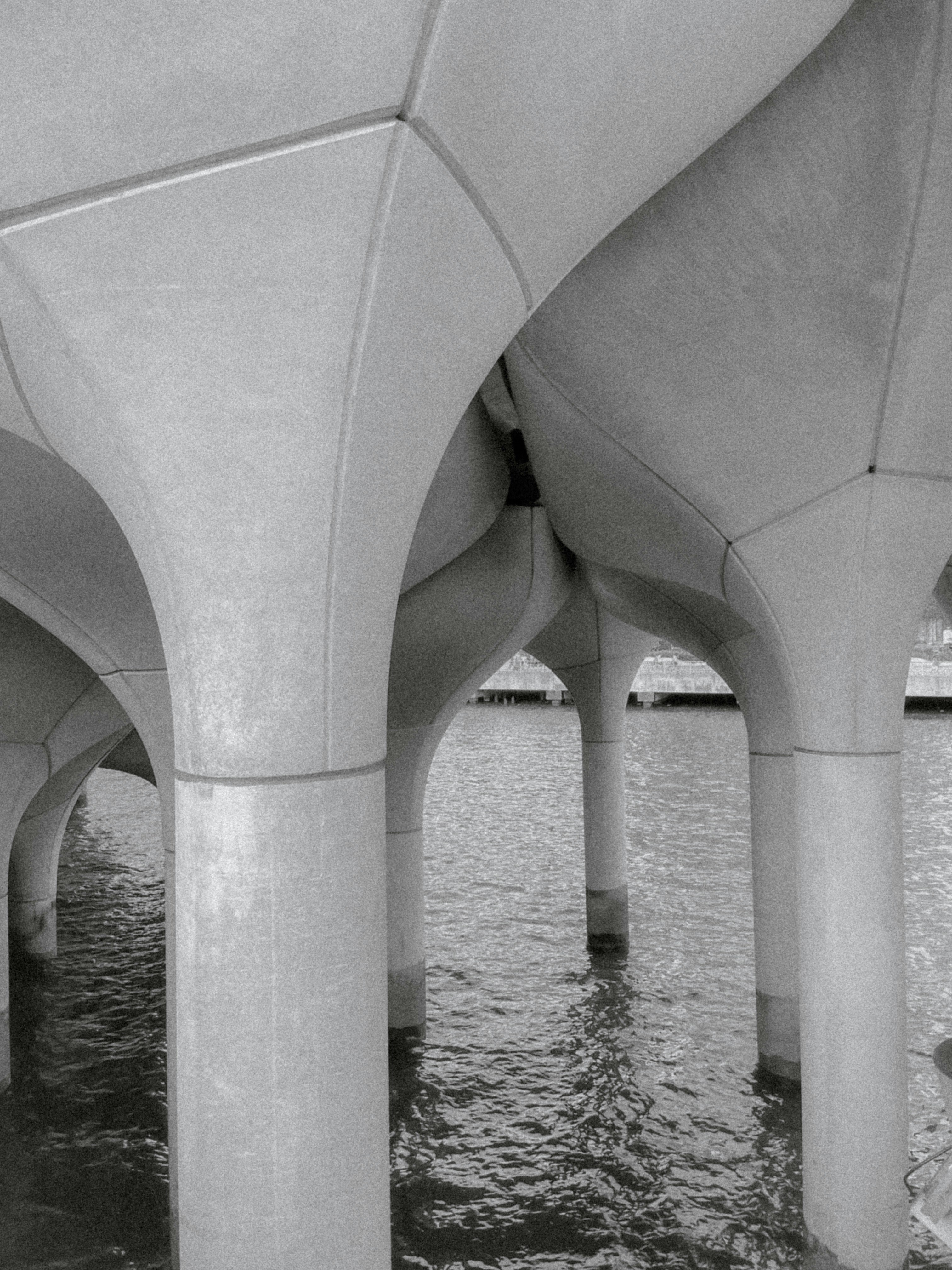 Photo by esteban__chinchilla