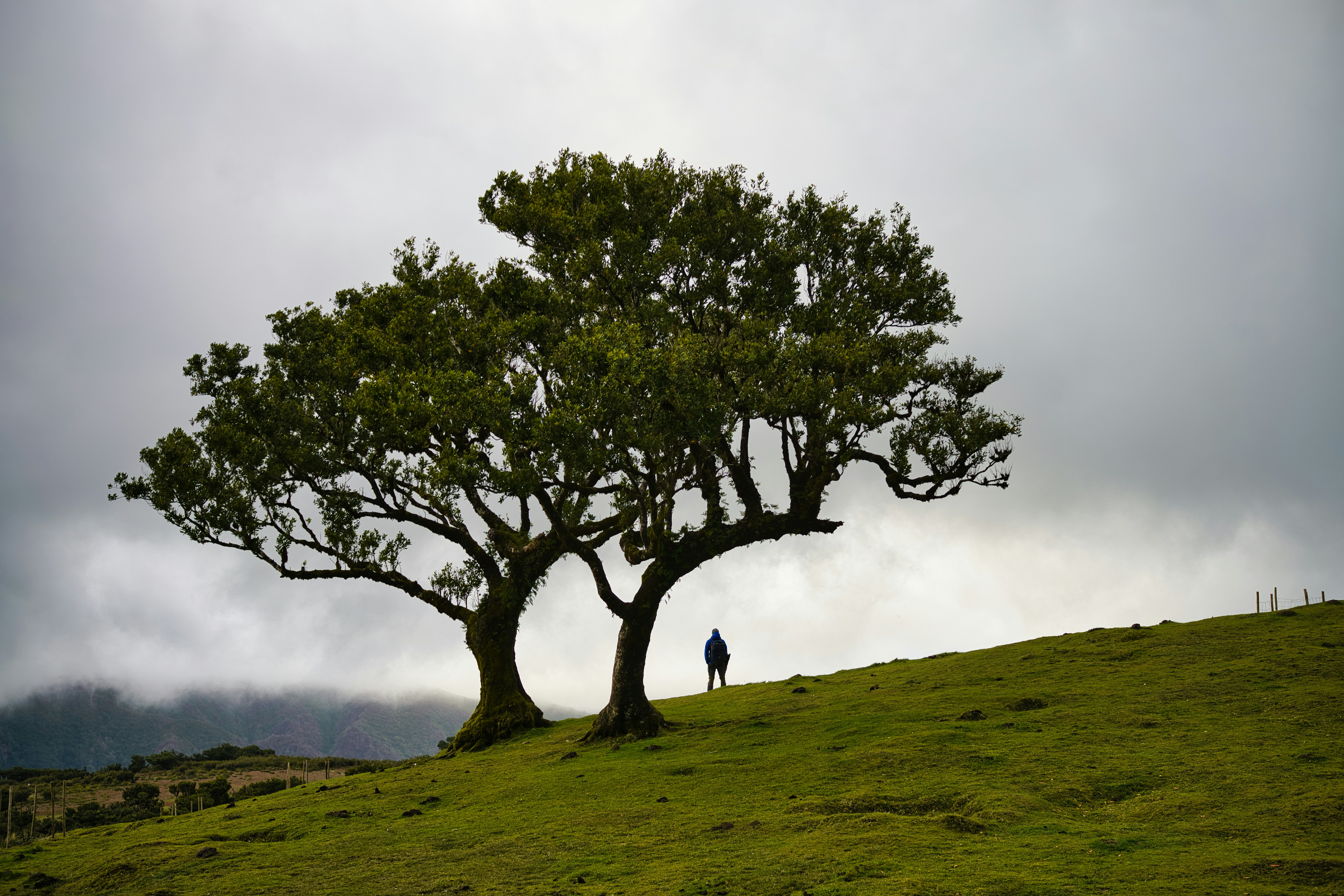 Photo by maksimshutov