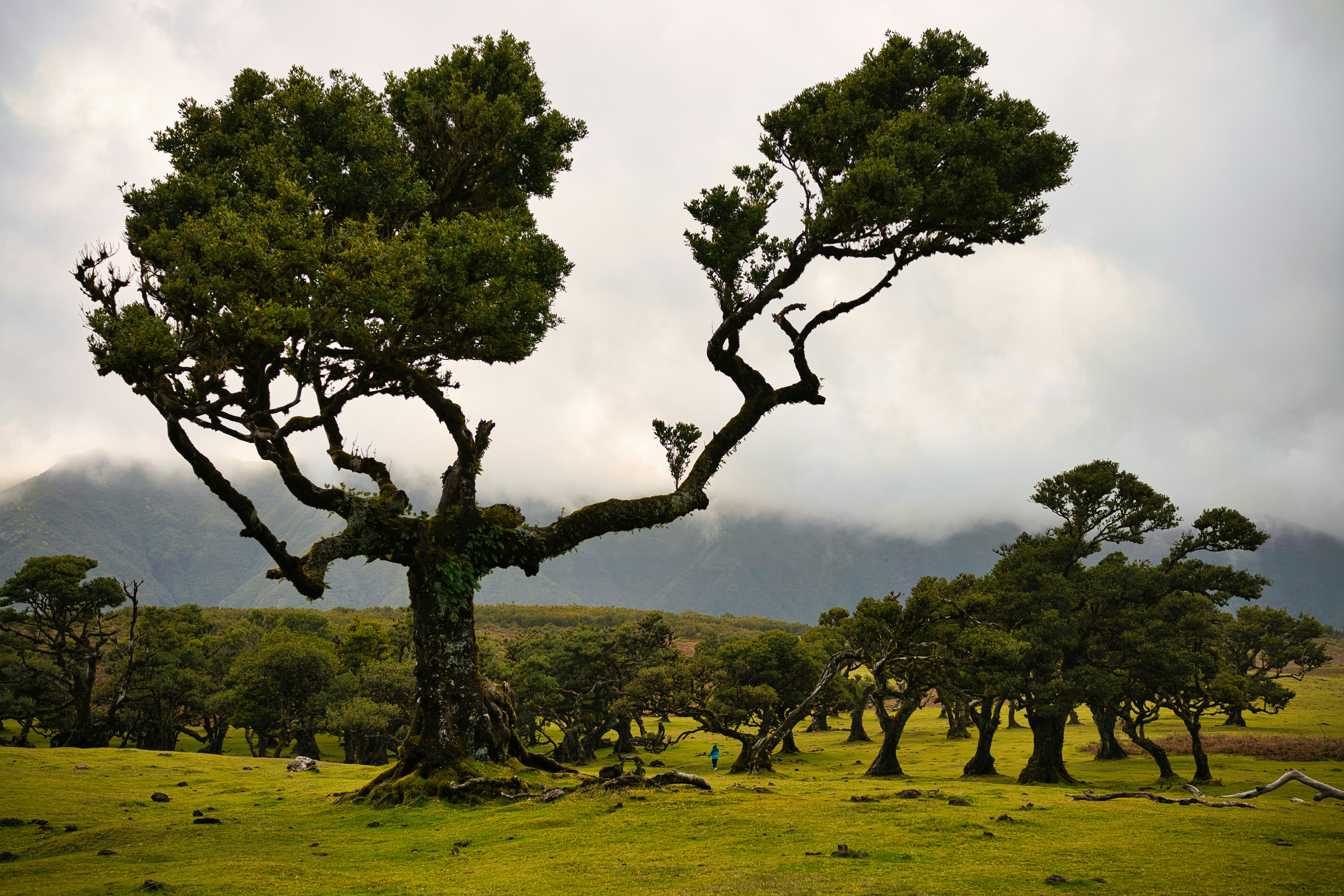 Photo by maksimshutov