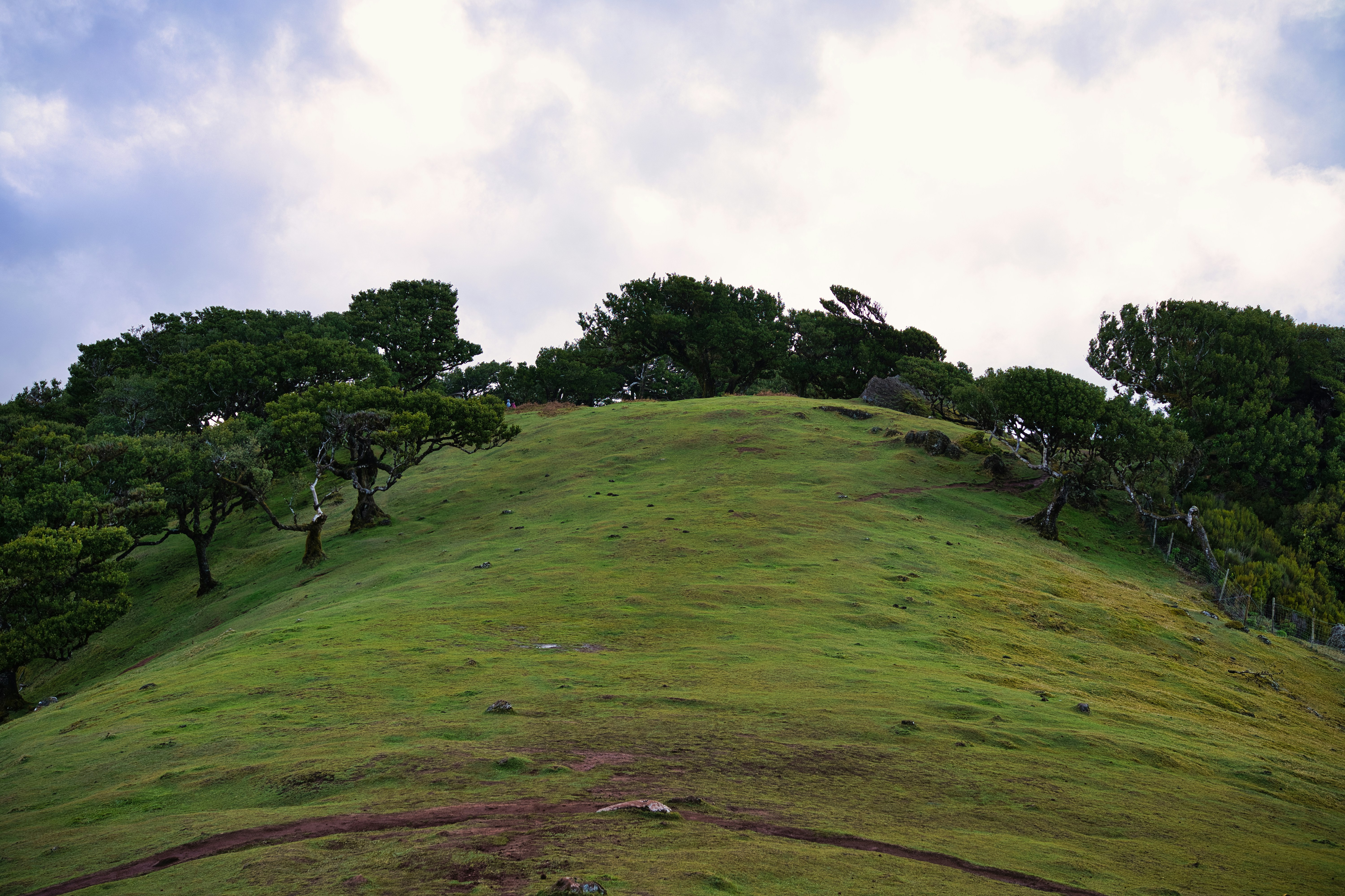 The Role of Topography in Creating the Illusion (image credits: unsplash)