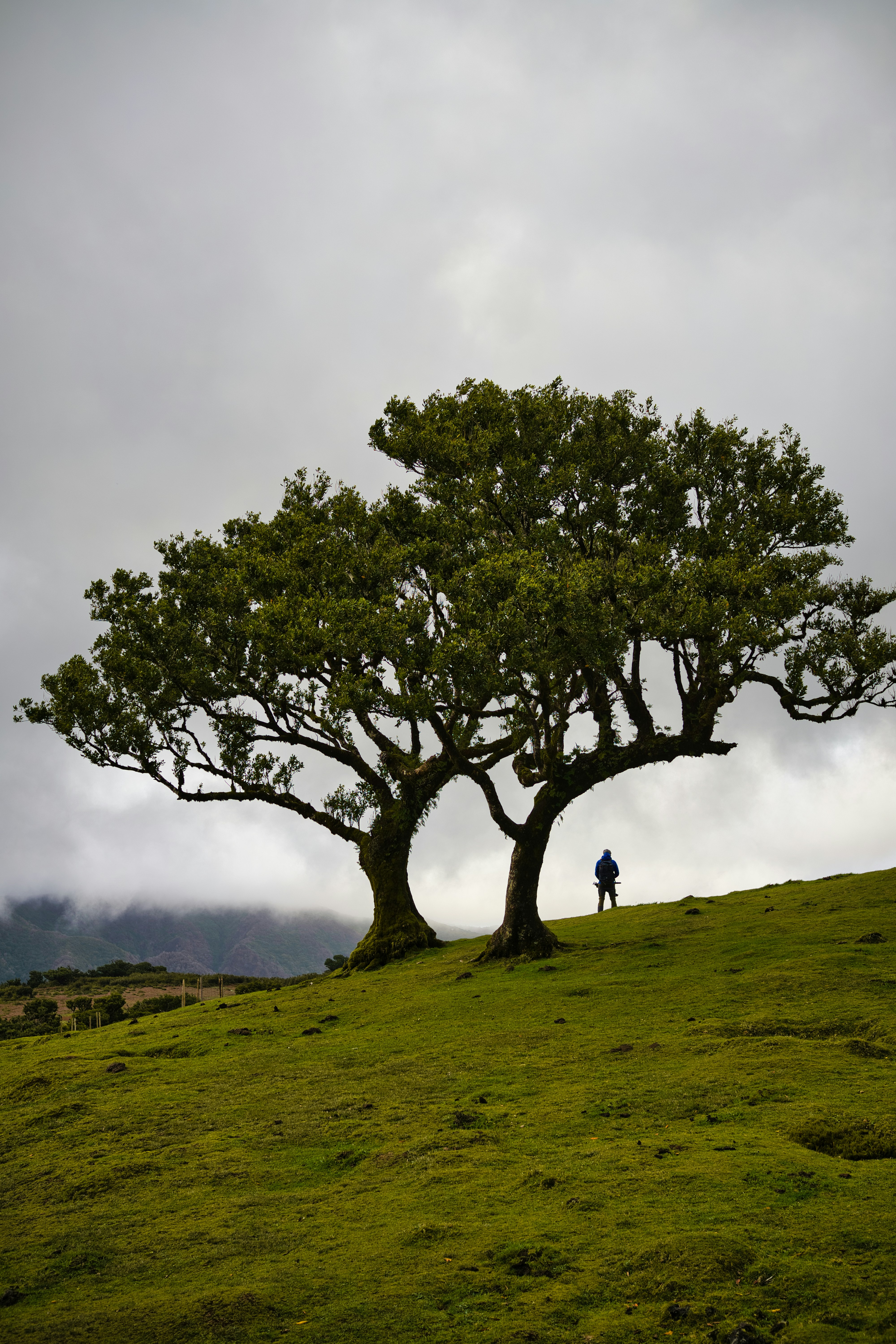 Photo by maksimshutov