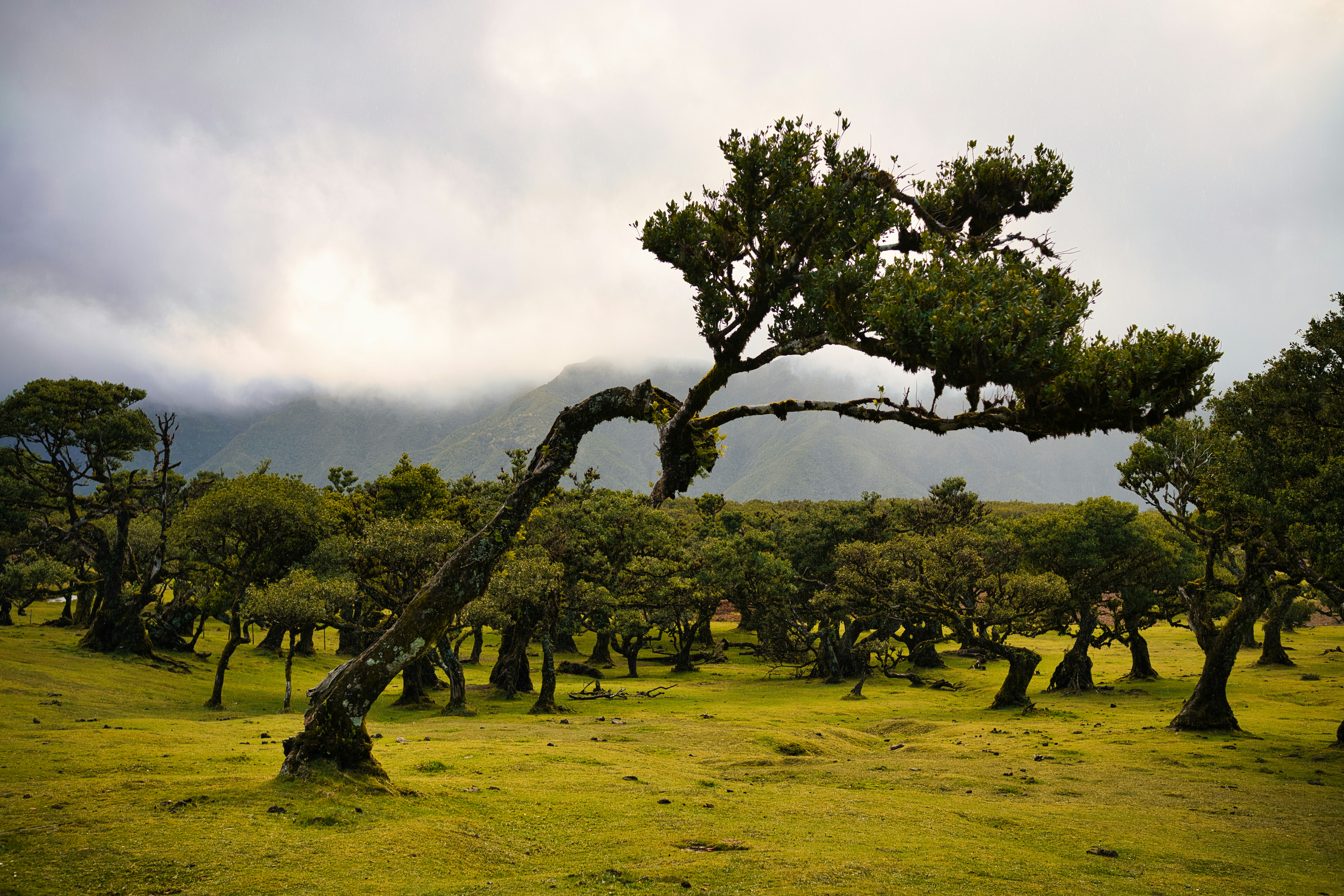 Photo by maksimshutov