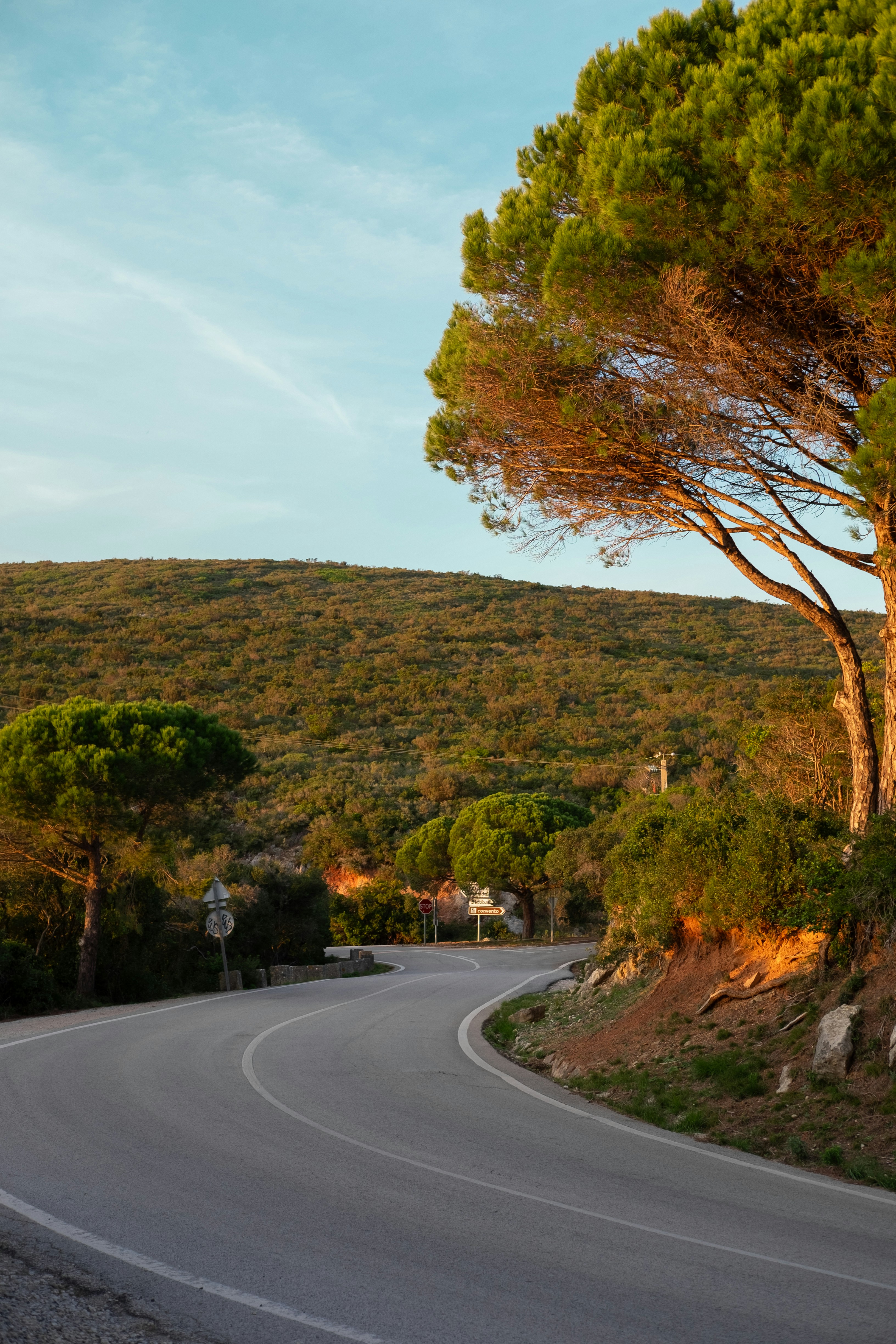 Photo by noelephantsflying