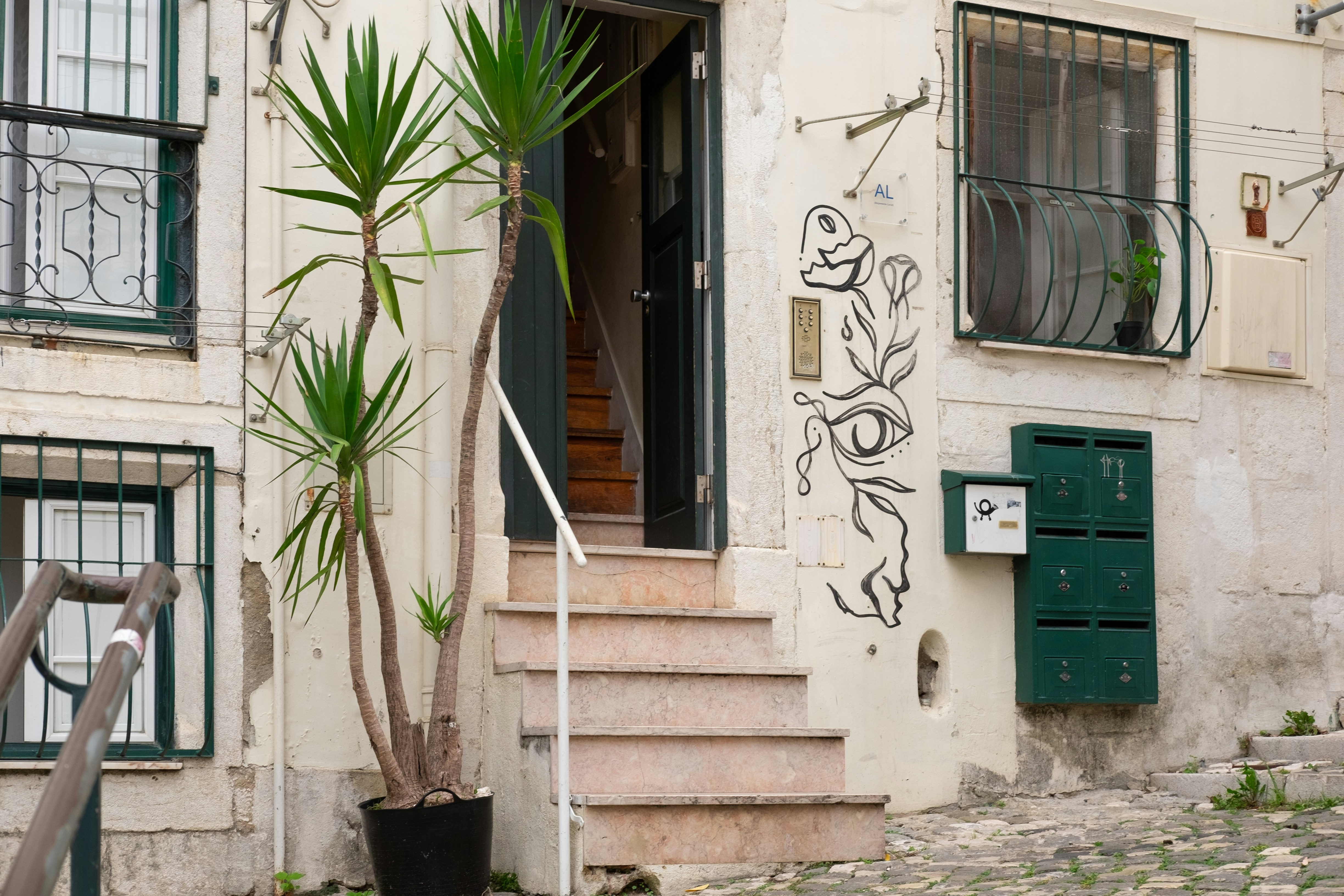 Photo by noelephantsflying