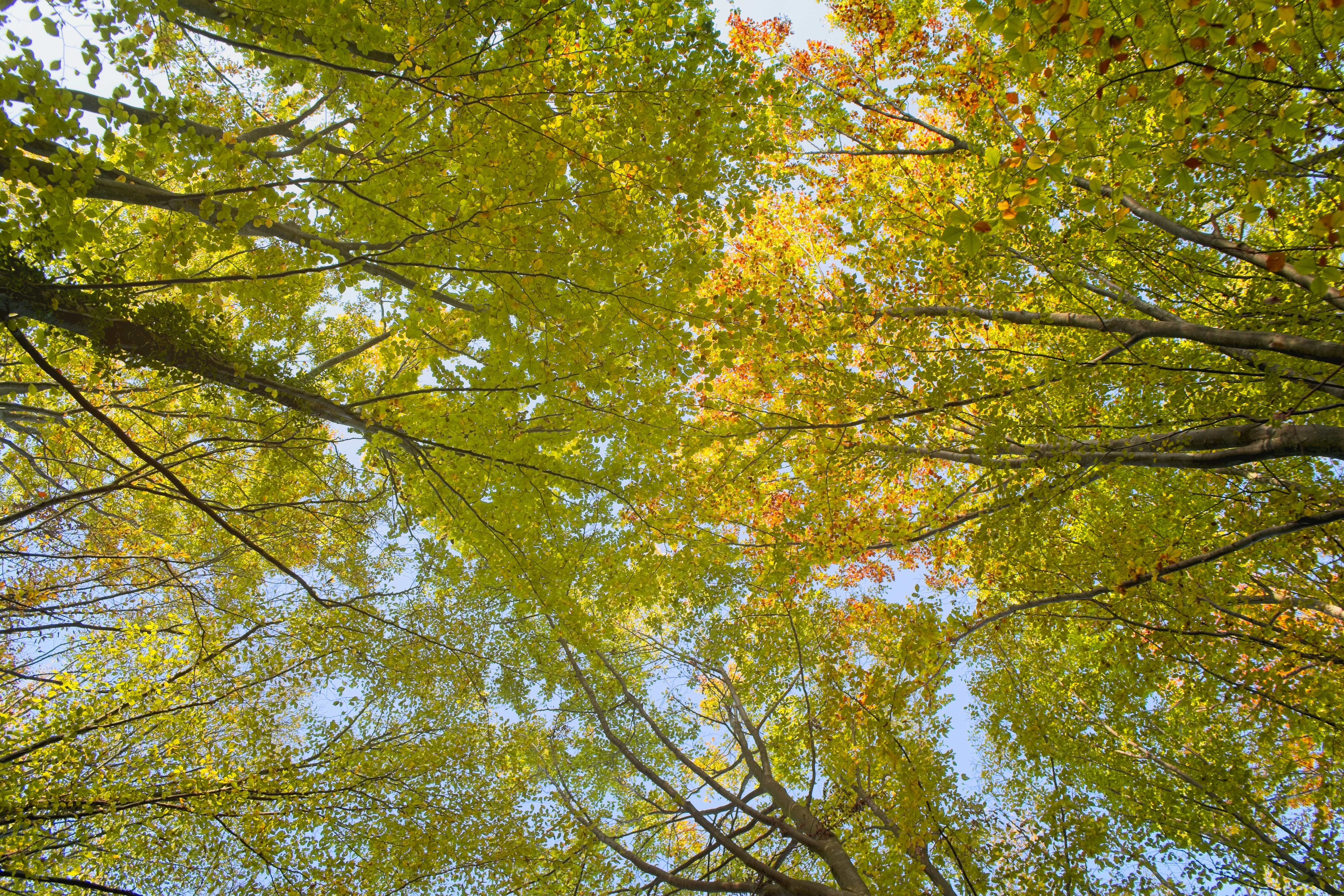 Photo by nedimshoots