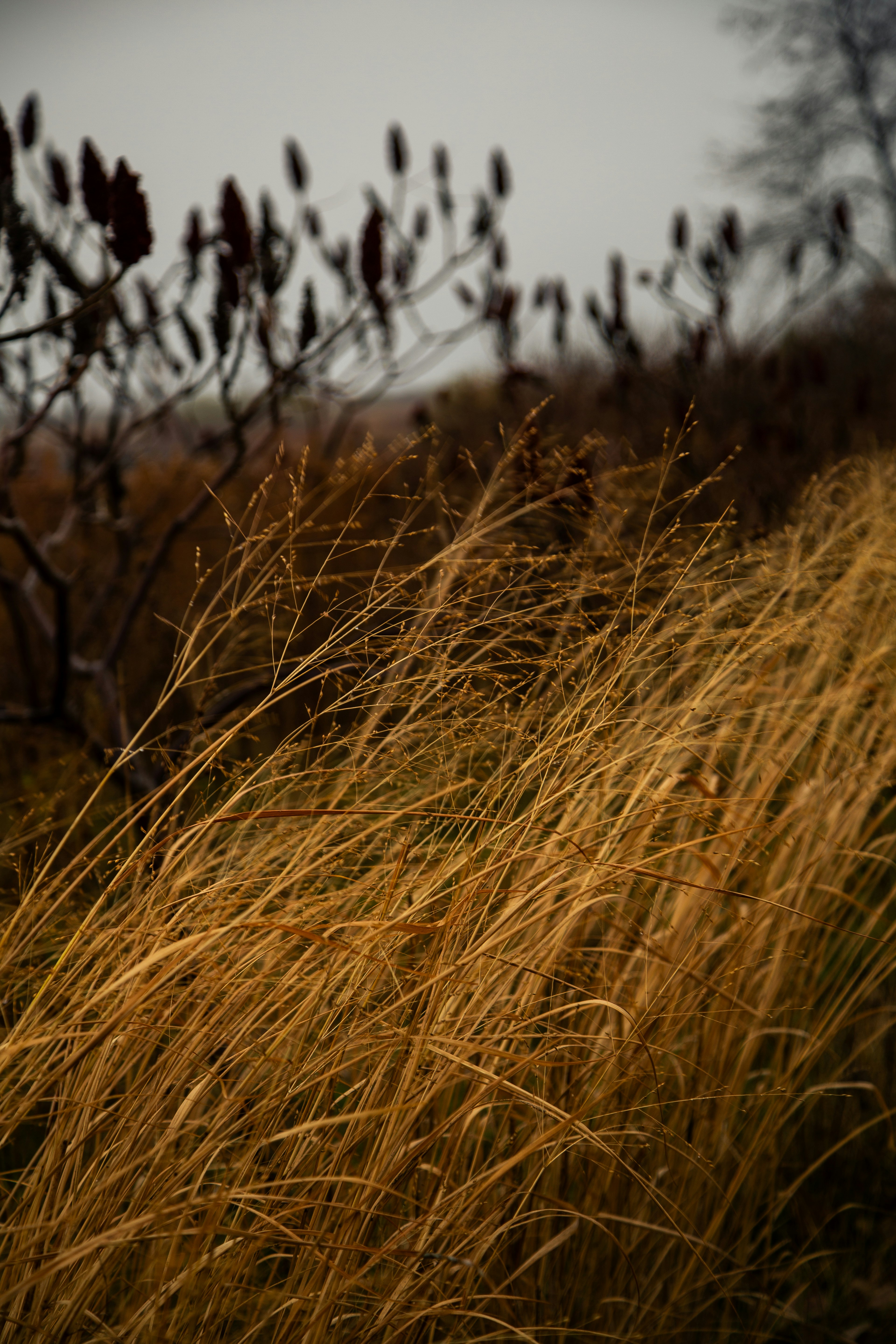 Photo by sofiatheexplorer