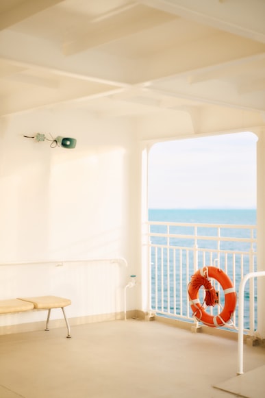 
1. 商品描述与实际不符(型号、规格、用途等)
2. 价值申报过低
3. 原产地申报错误
4. 夹藏、瞒报违禁品
B. 