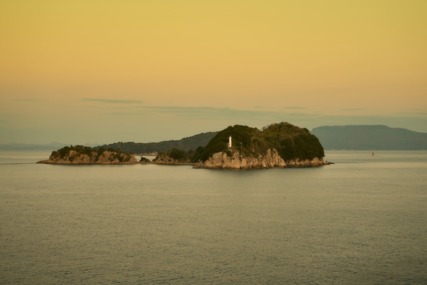 
A. 合规申报
1. 准确填写报关单据
2. 如实申报品名、数量和价值
3. 提供完整、真实的随附单证(发票、装箱单等)
B. 选择可靠的货运代理
1. 考察货运代理的资质和经验
2. 了解货运代理的清关能力
3. 签订明确的运输合同,约定责任和义务
C. 货物包装与保护
1. 选择合适的包装材料,防止货物损坏
2. 进行防潮、防震处理
3. 购买货物运输保险,降低损失
D. 提前准备清关文件
1. 提前准备香港进口所需的许可证
2. 确保单证一致性
3. 及时更新香港海关政策信息
E. 风险预警与应急处理
1. 建立风险预警机制
2. 制定应急处理预案
3. 与货运代理保持沟通,及时处理突发情况
