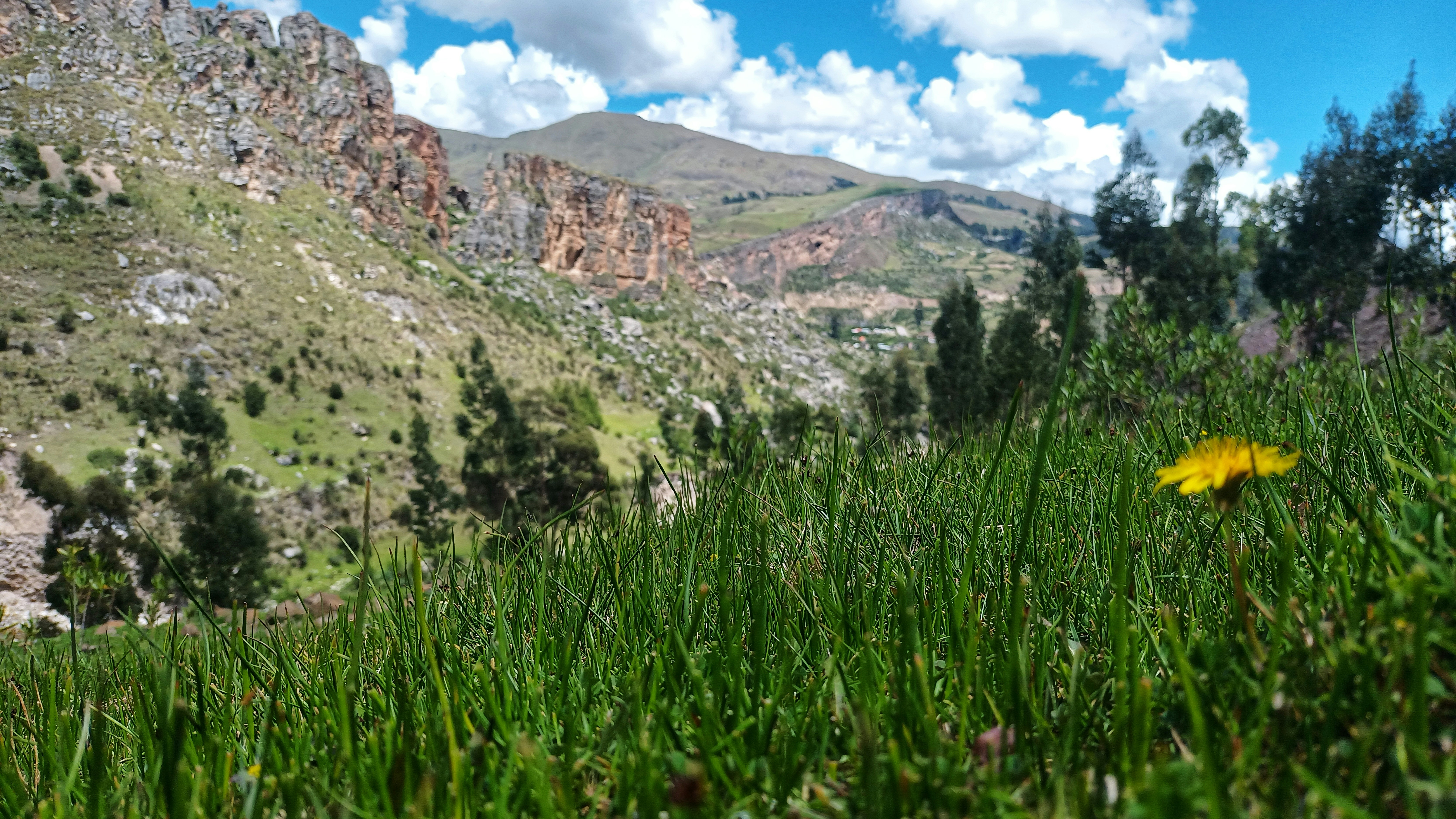 Image by ROQUE PRINCIPE via Unsplash