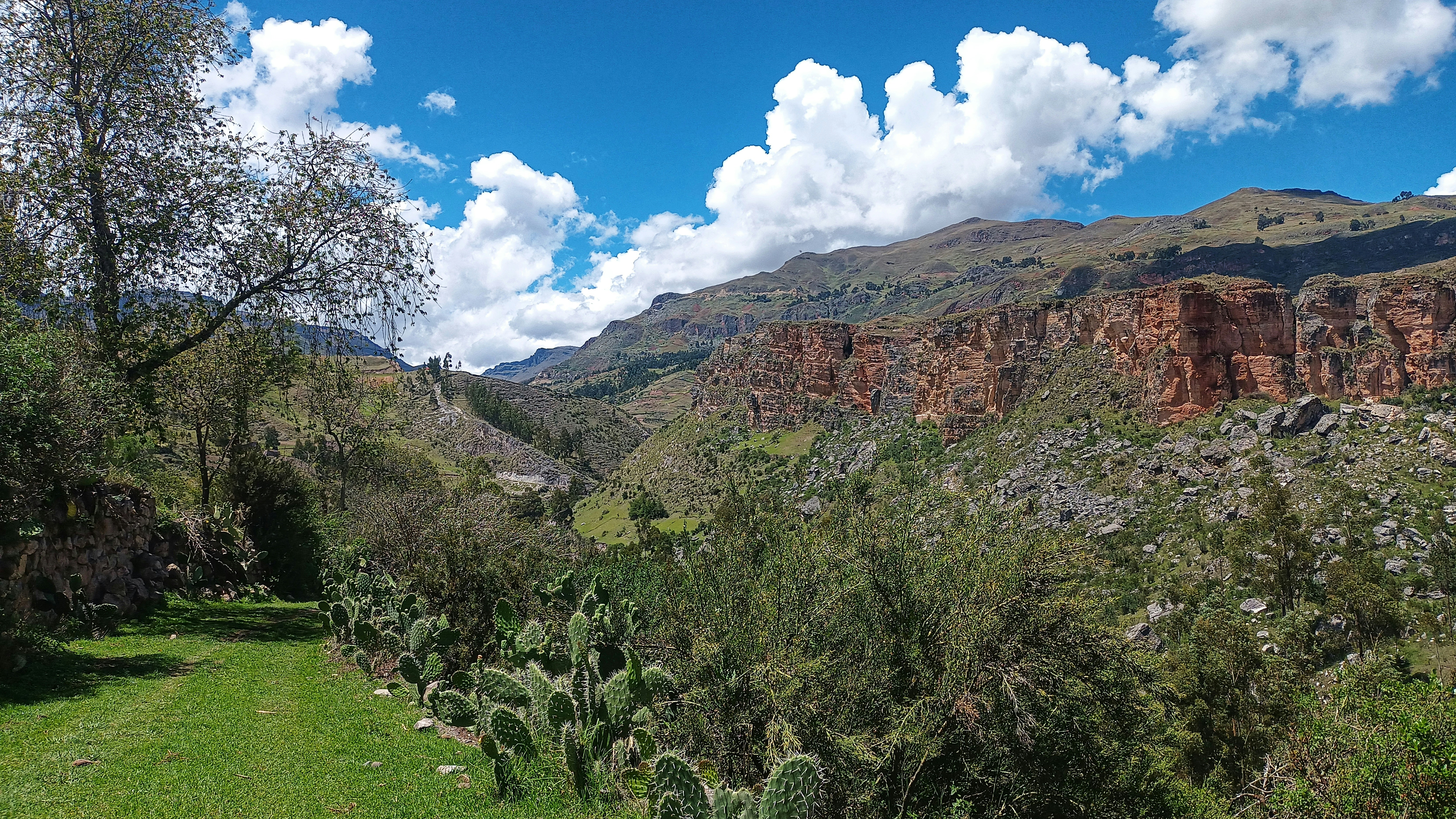 Image by ROQUE PRINCIPE via Unsplash