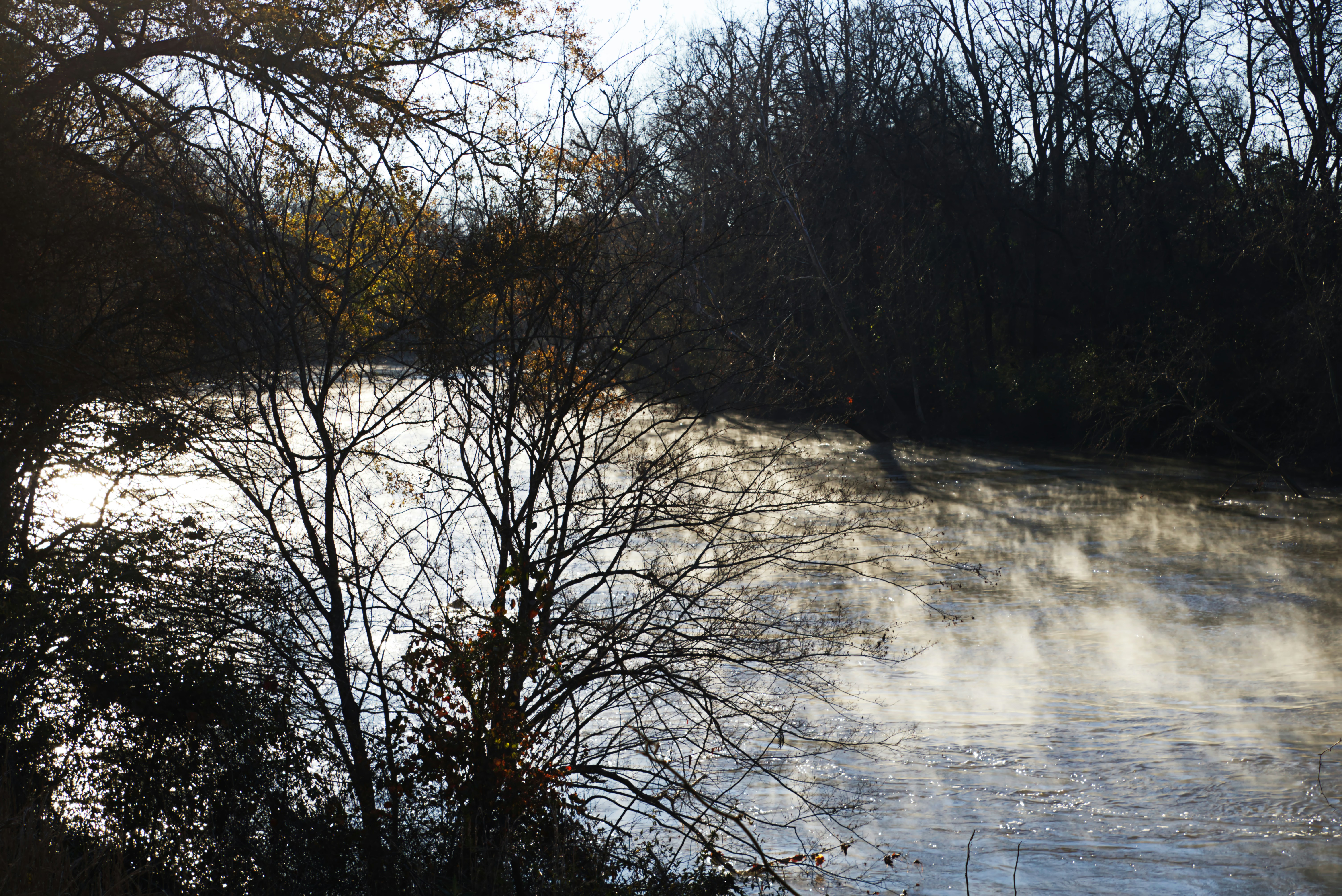 Old Mill Park