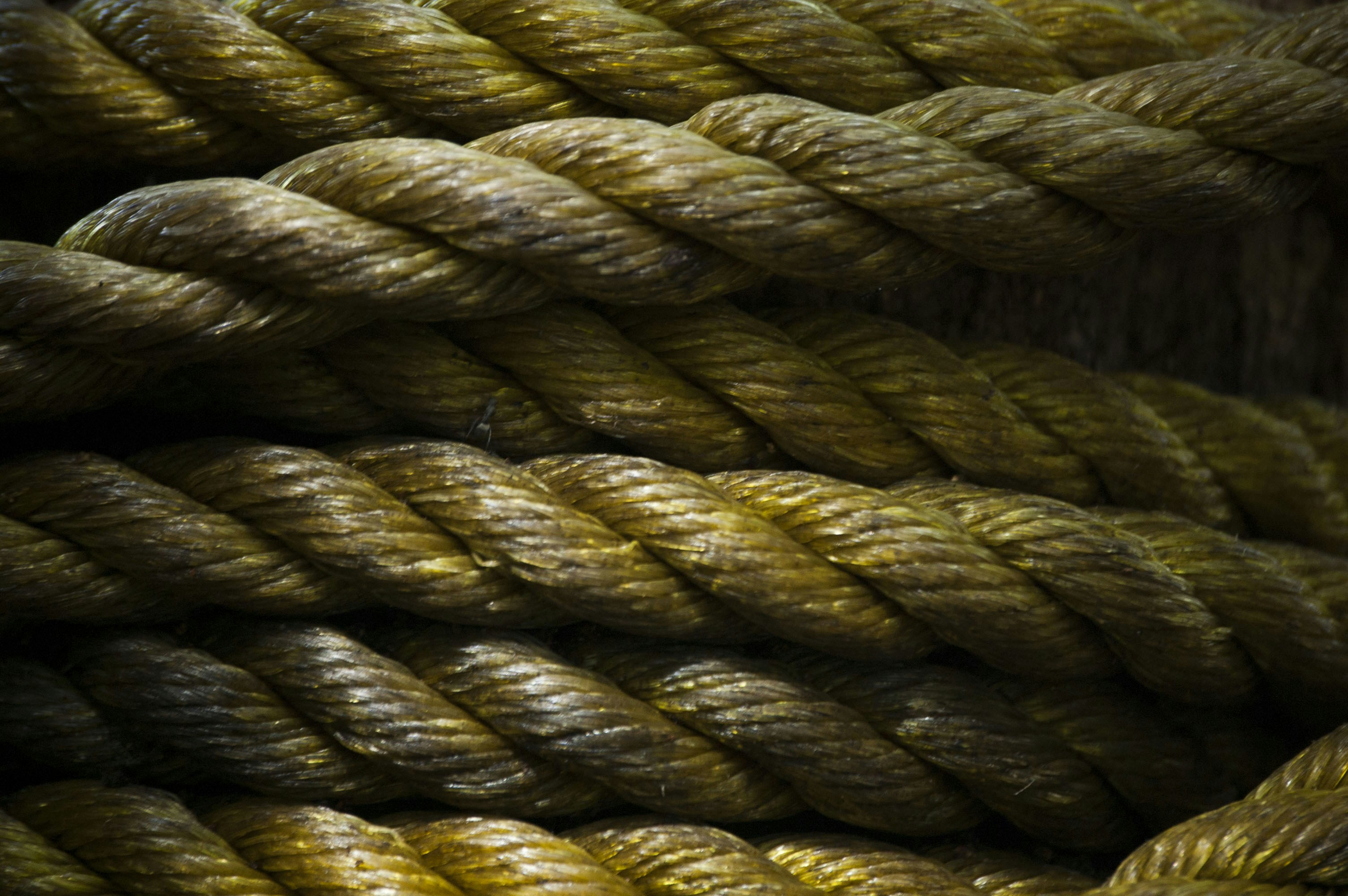 Photo by iam_estefaniav