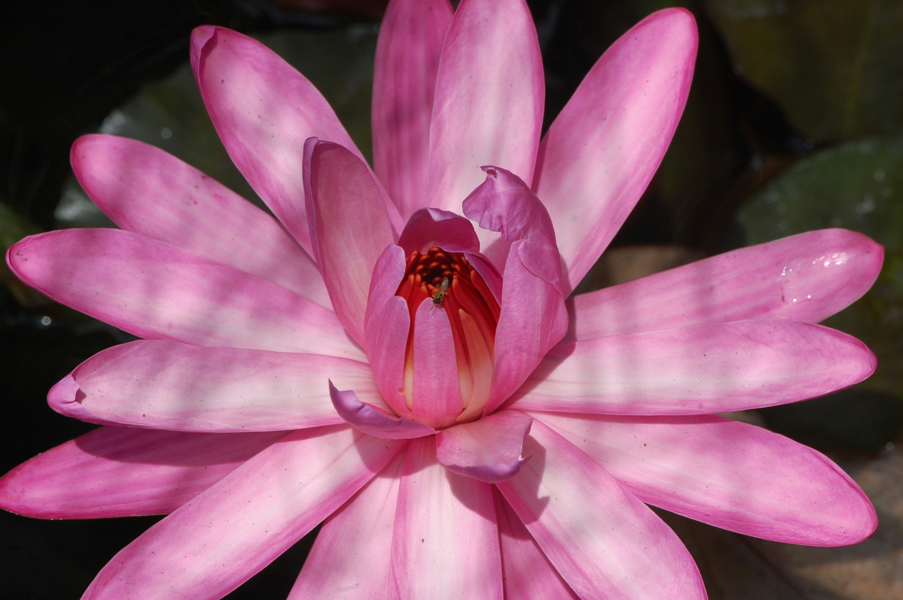 Photo by iam_estefaniav