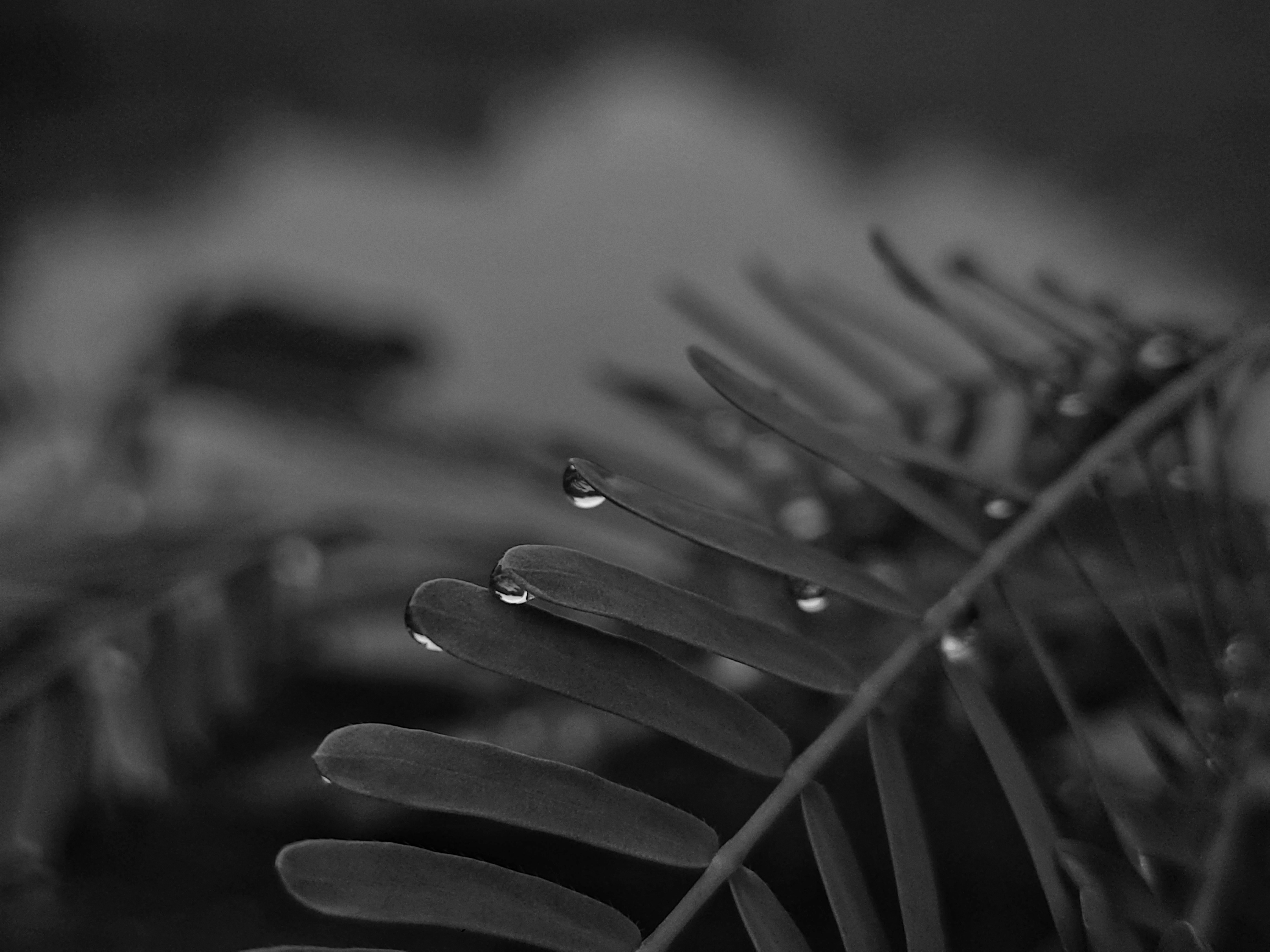 Photo by boywidlens_