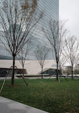A large building with trees in front of it