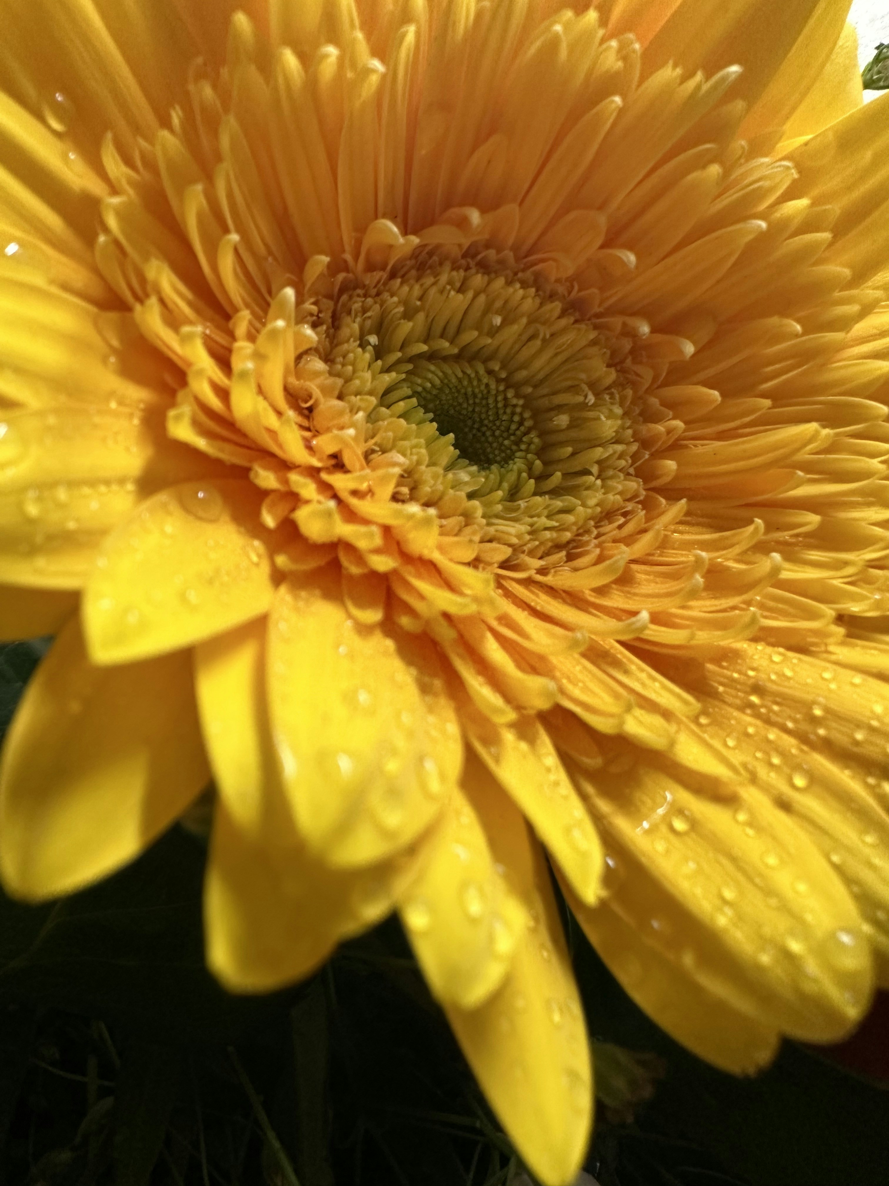 Photo by neelakshi_singh_