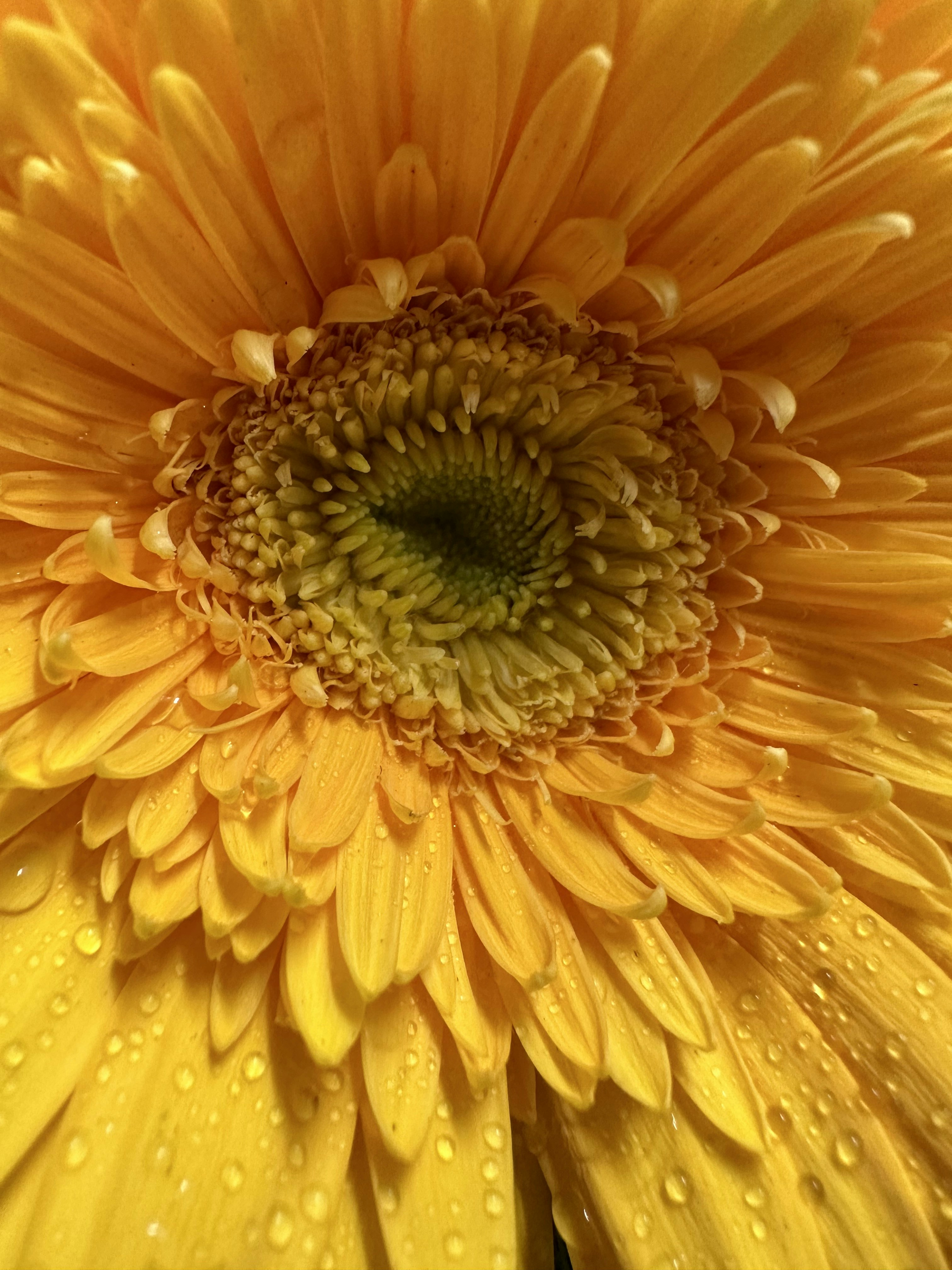 Photo by neelakshi_singh_