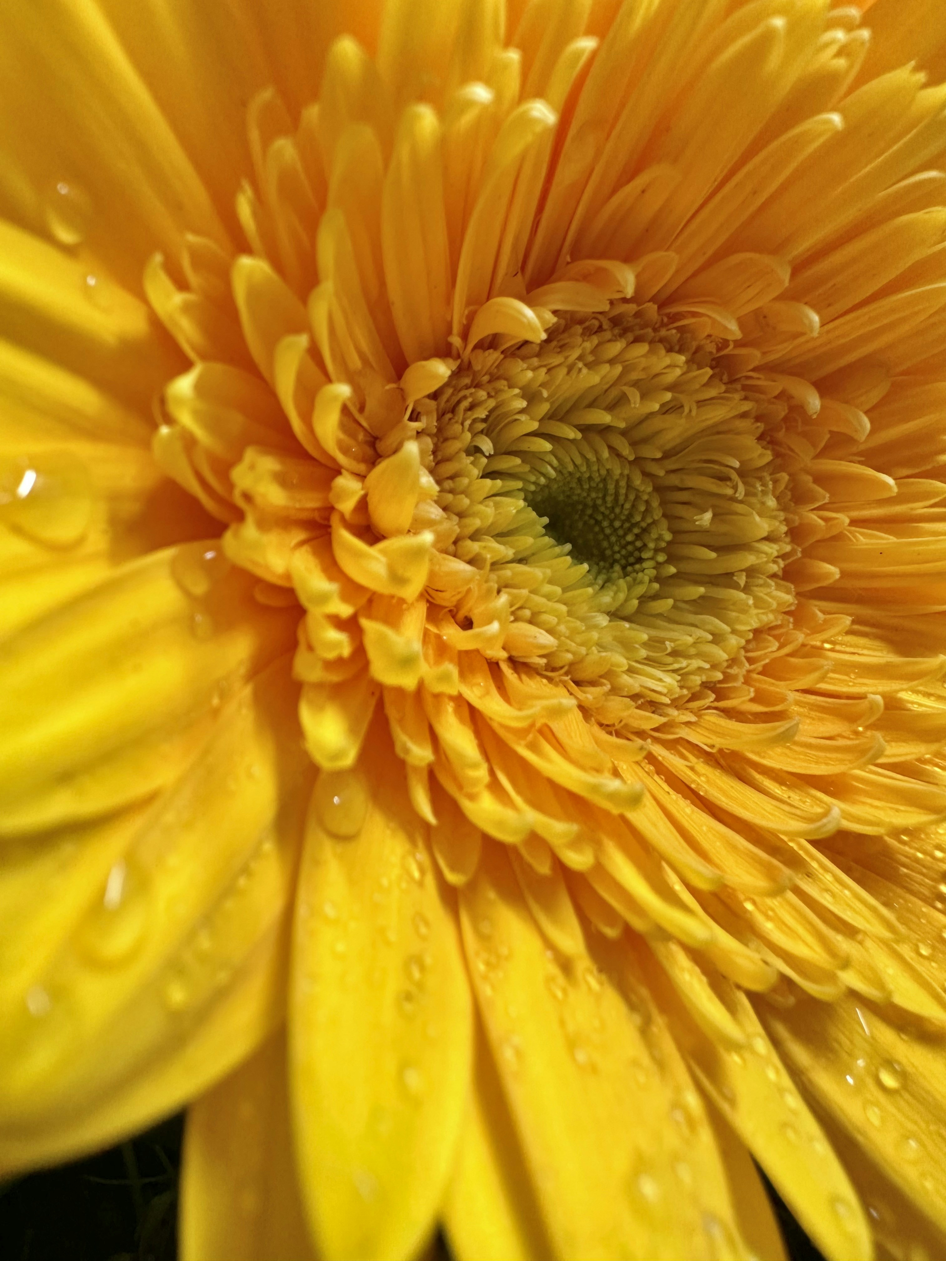 Photo by neelakshi_singh_