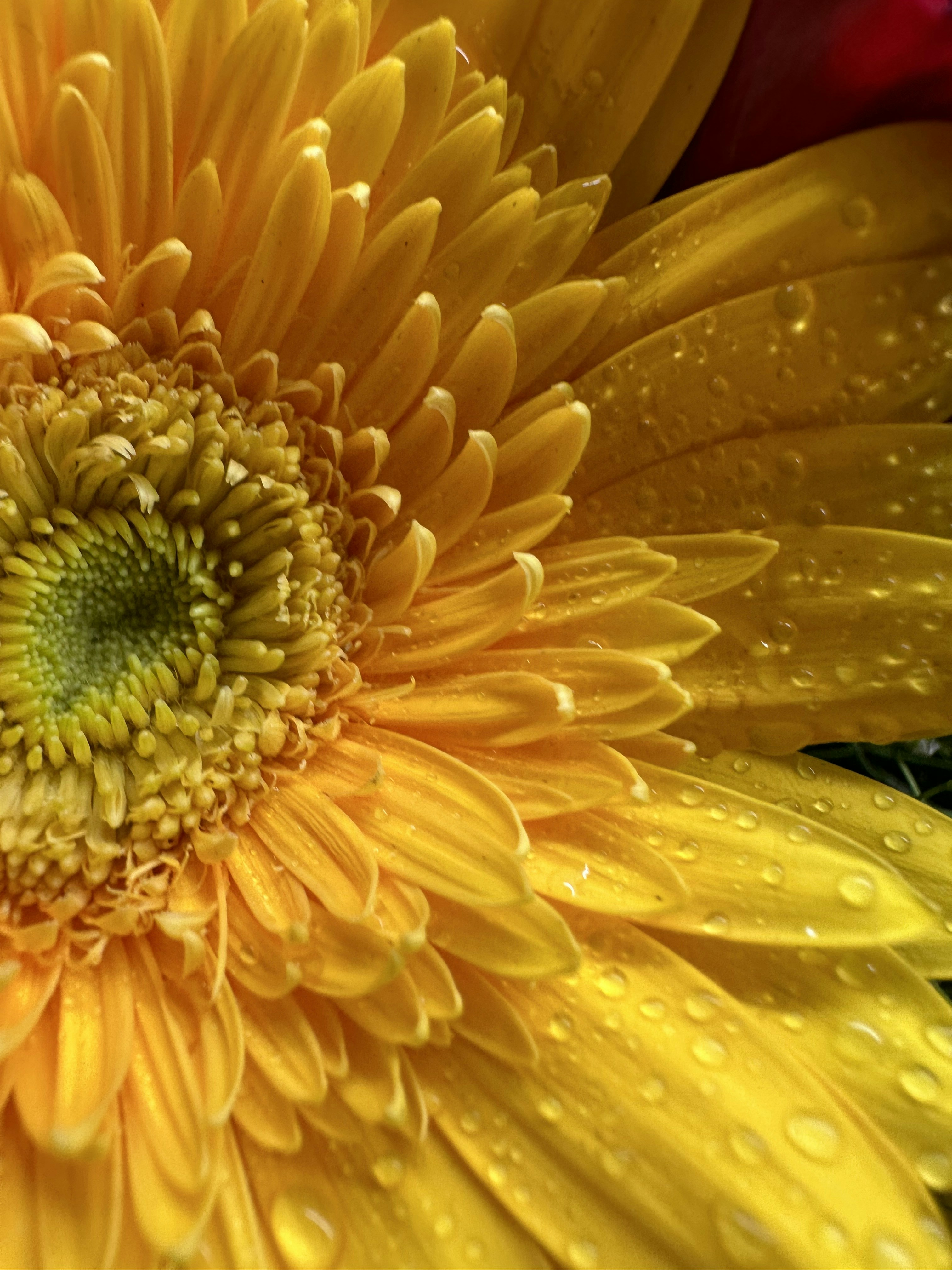 Photo by neelakshi_singh_