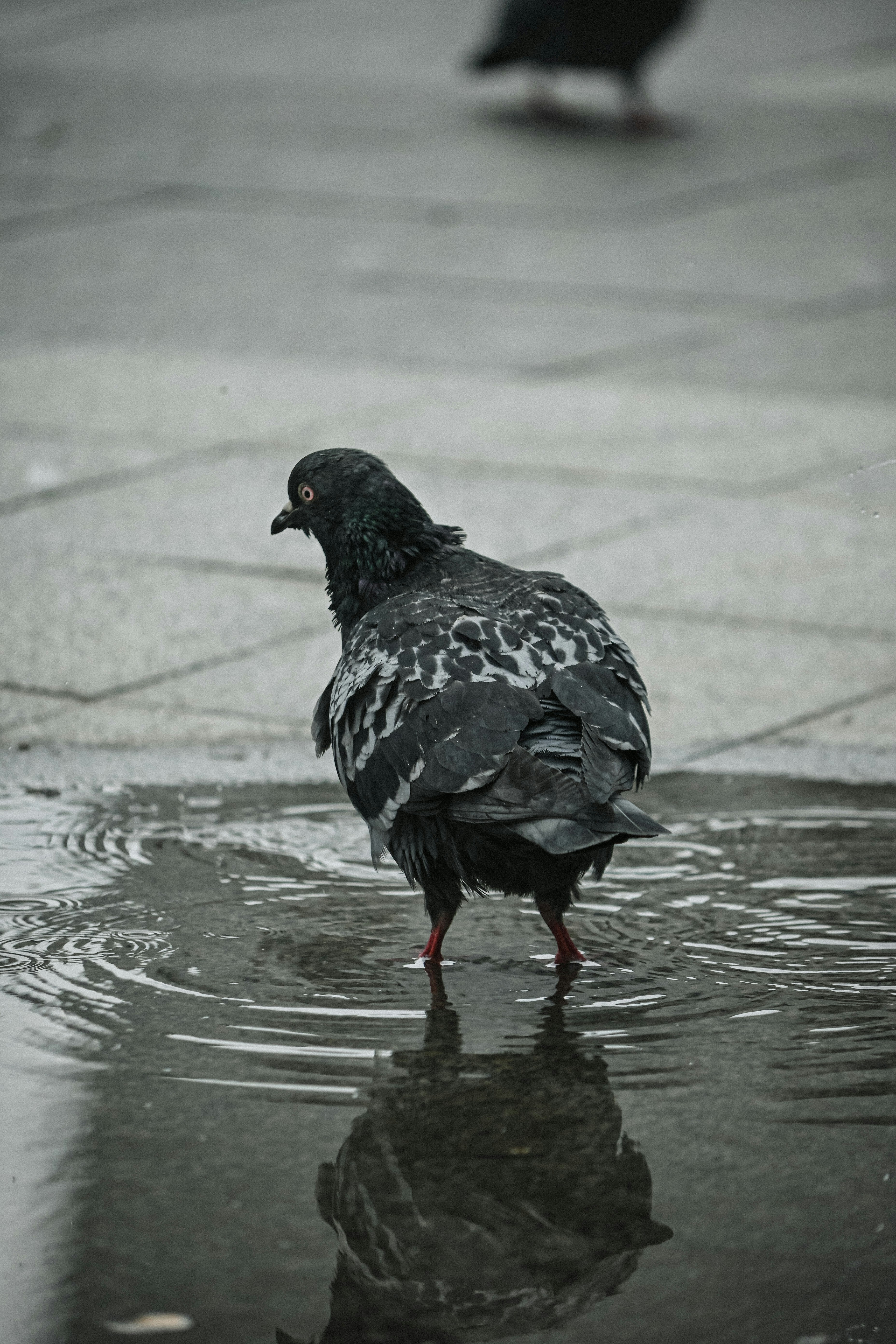 Photo by katya_vysotskaya