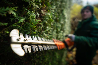 Herts Gardening trim large garden hedges