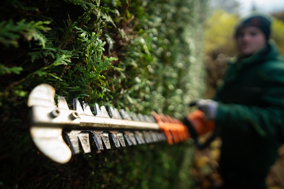 A person in a green jacket is holding a chainsaw