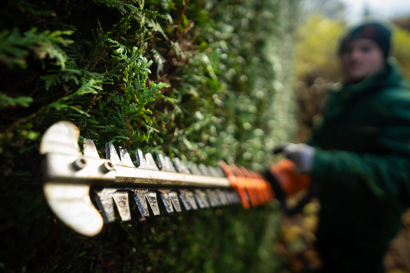 Stihl cordless hedge trimmer