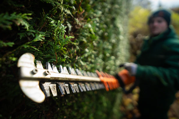 A person in a green jacket is holding a chainsaw