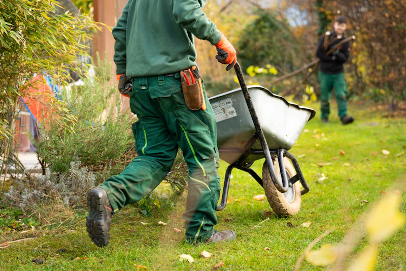 Landscapers moving mulch by wheelbarrow on a residential property