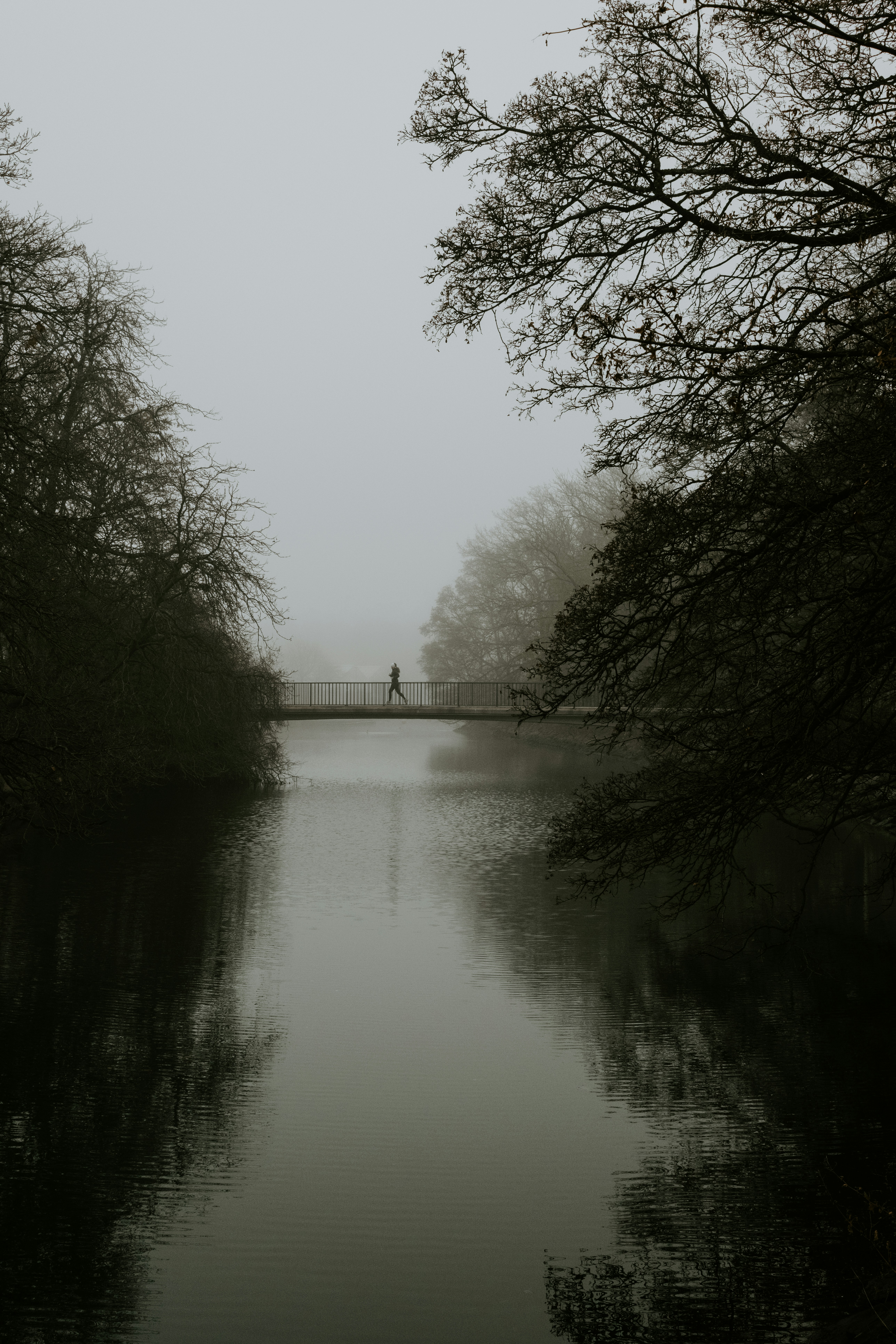 A person standing on a bridge over a river