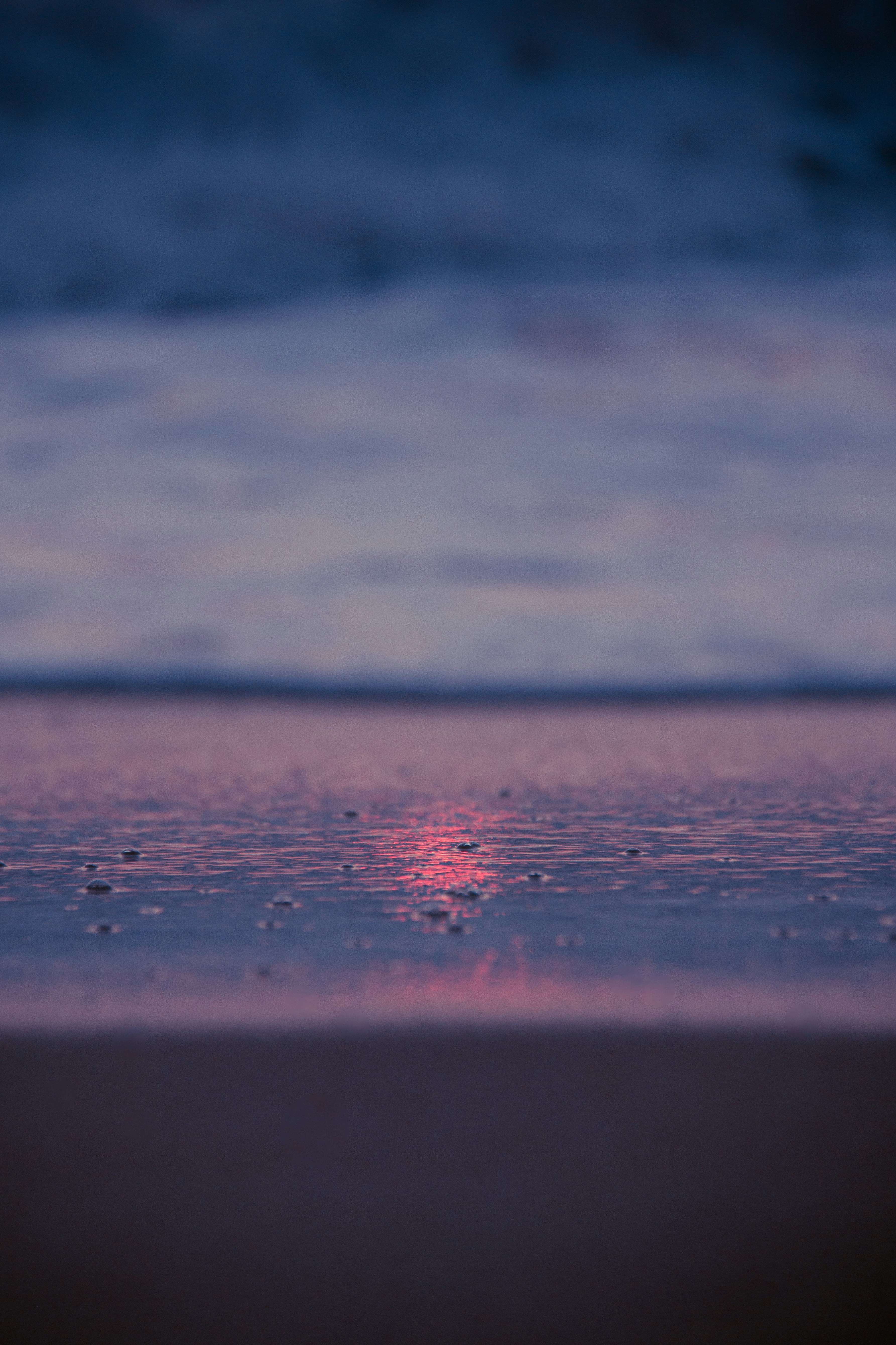 Photo by gchab_photography