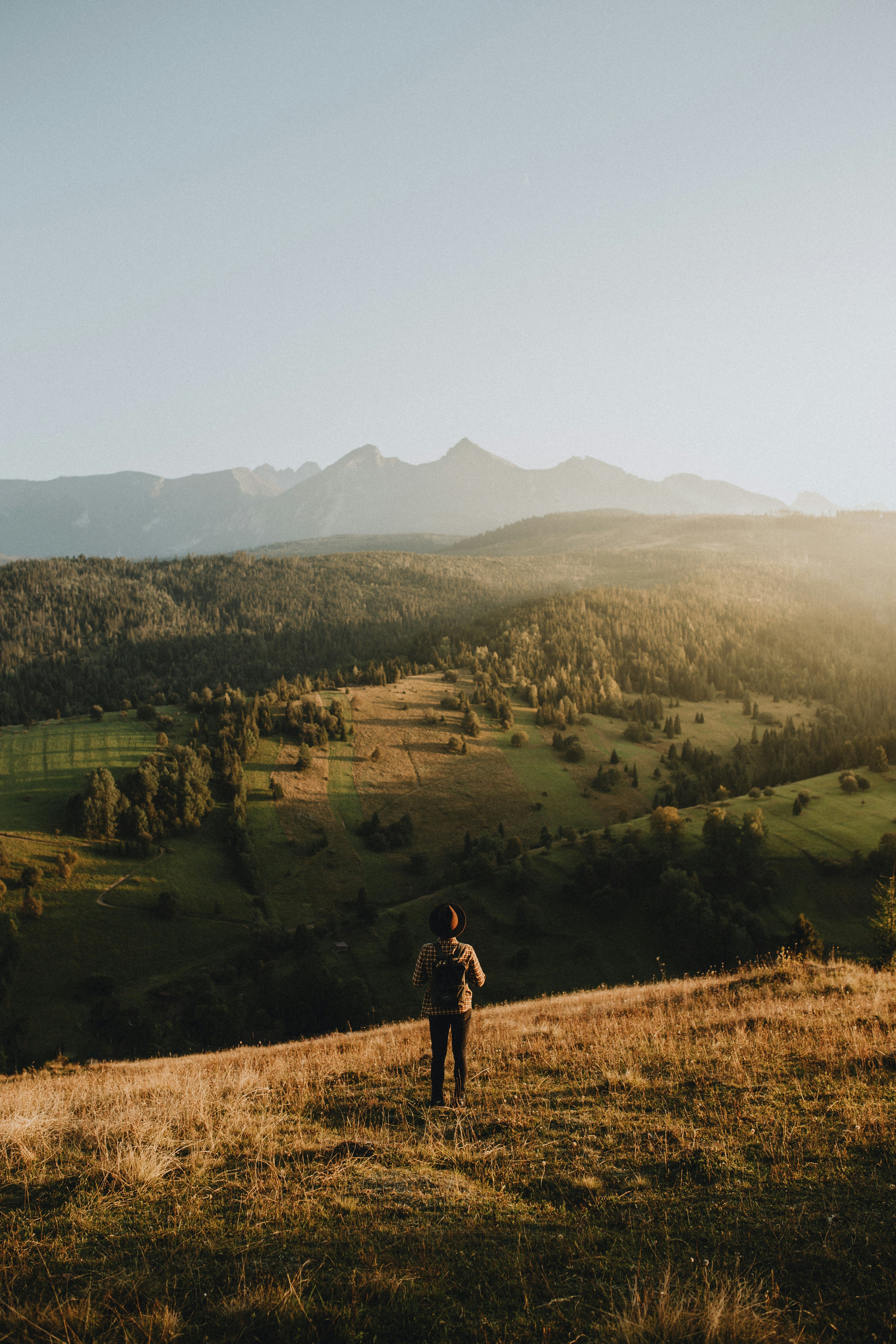 A man standing on top of a lush green hillside photo – Free Forest ...
