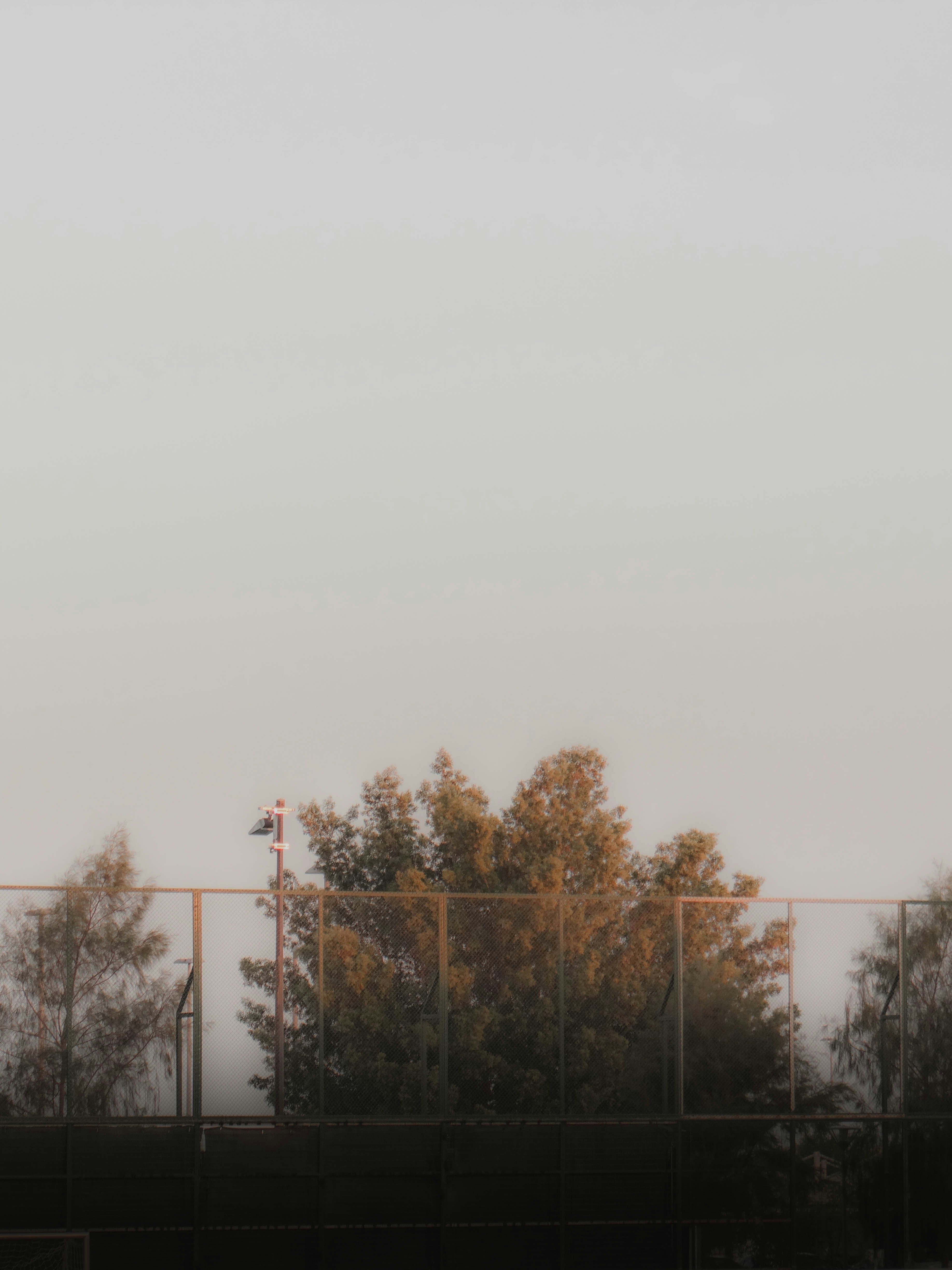 Photo by princewashere