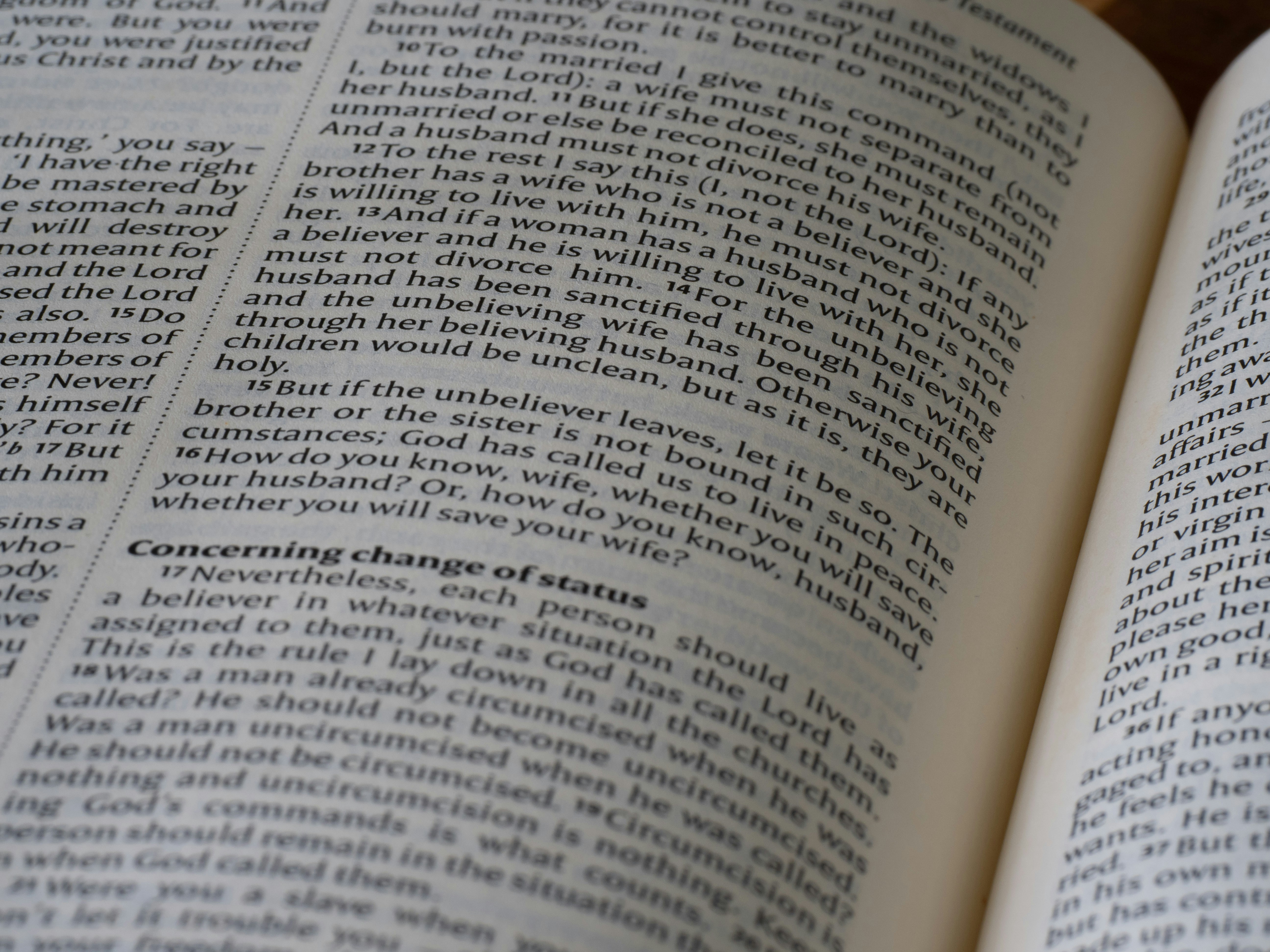 Photo by brett_jordan