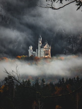 A castle in the middle of a foggy forest