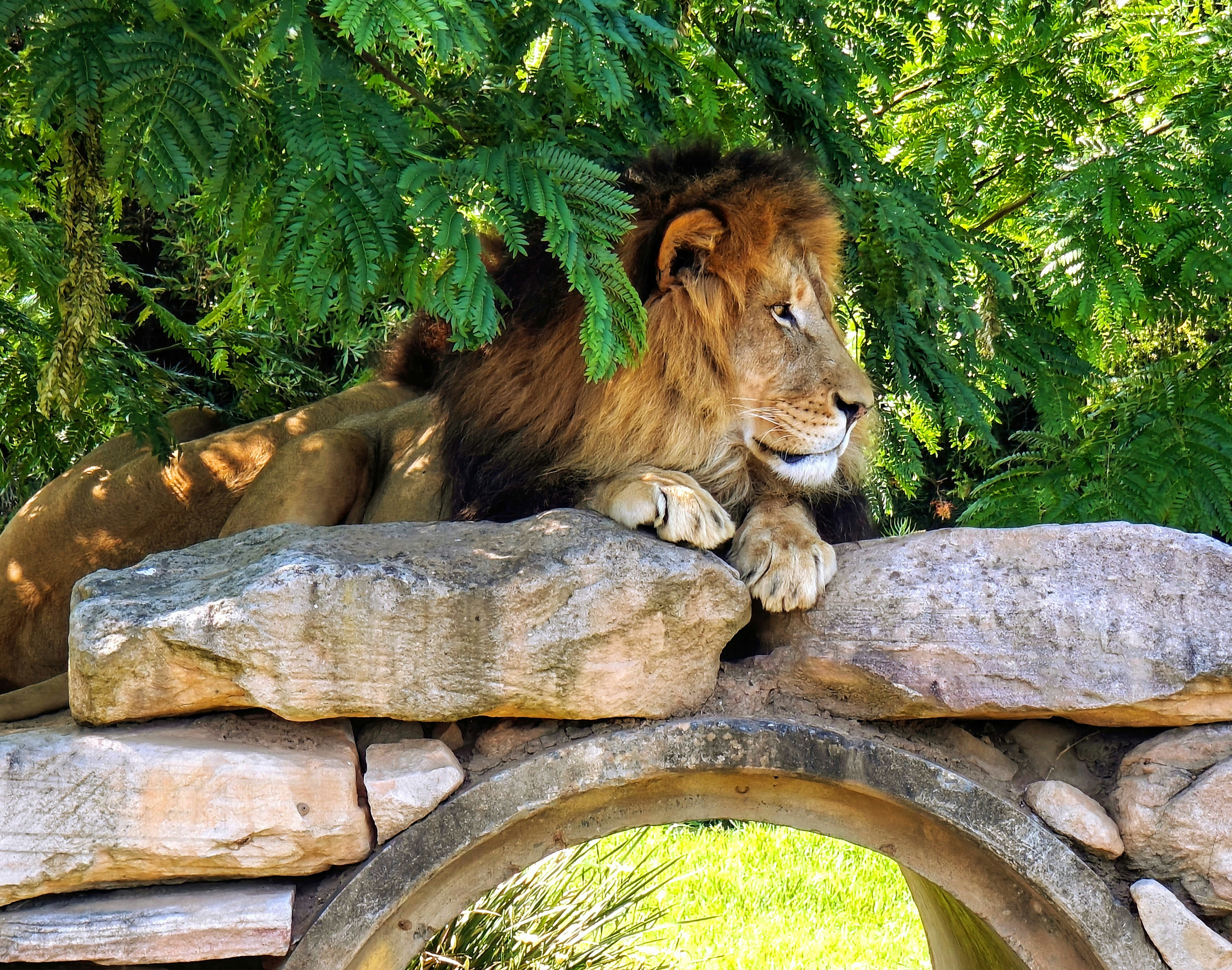 Photo by swapnilbhagwat